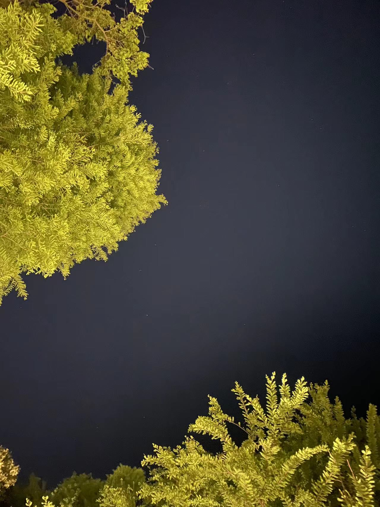 北斗七星