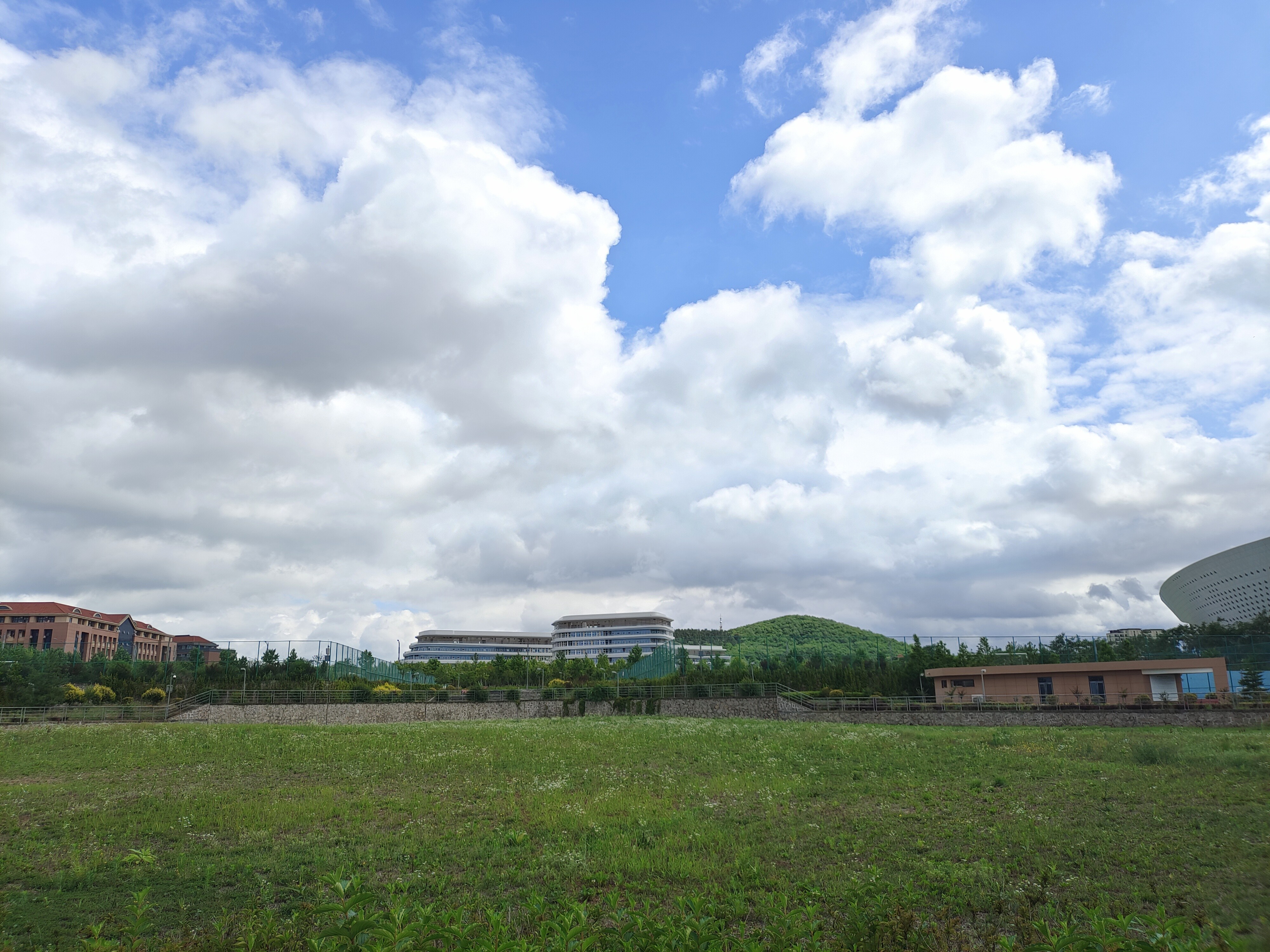 2023年6月26日 @爱看天空的杨同学 投稿 拍摄于青岛
