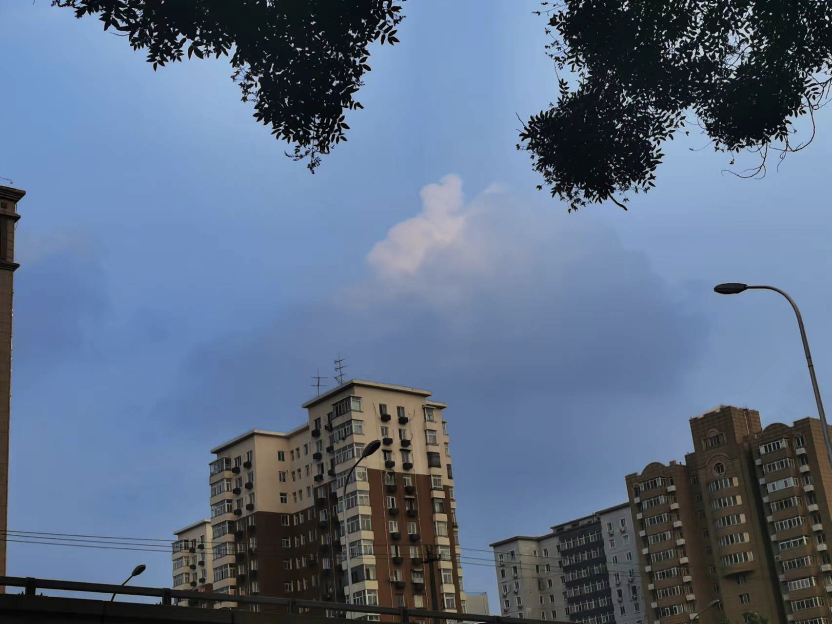2022年07月30日 雨滢 投稿 拍摄于北京