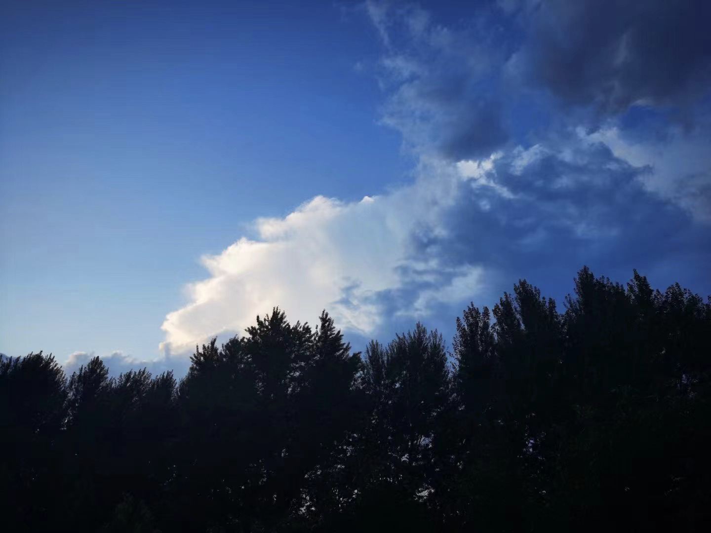 2022年07月23日 雨滢 投稿 拍摄于北京