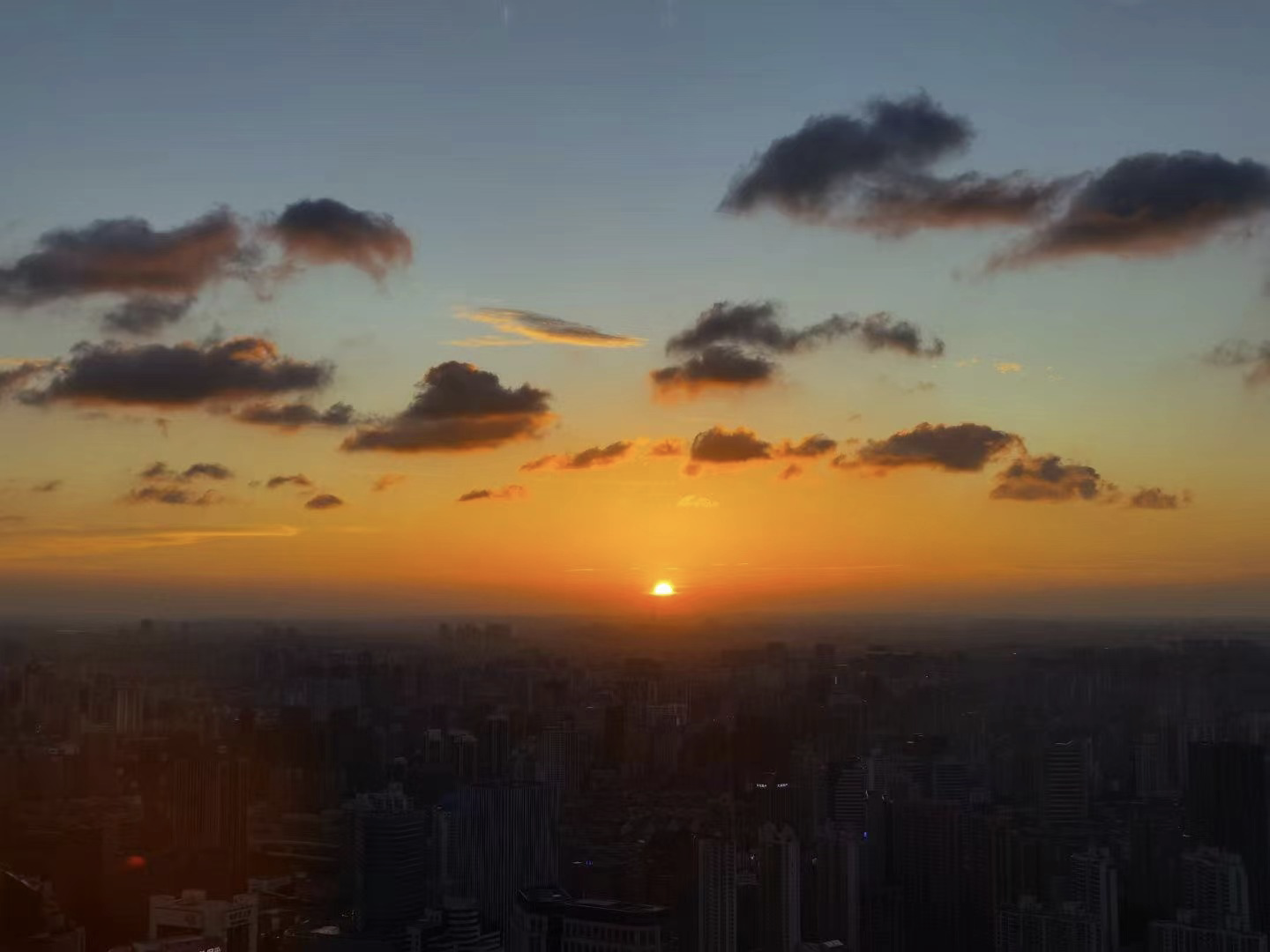 2022年07月01日 天堂的恶魔 投稿 拍摄于上海