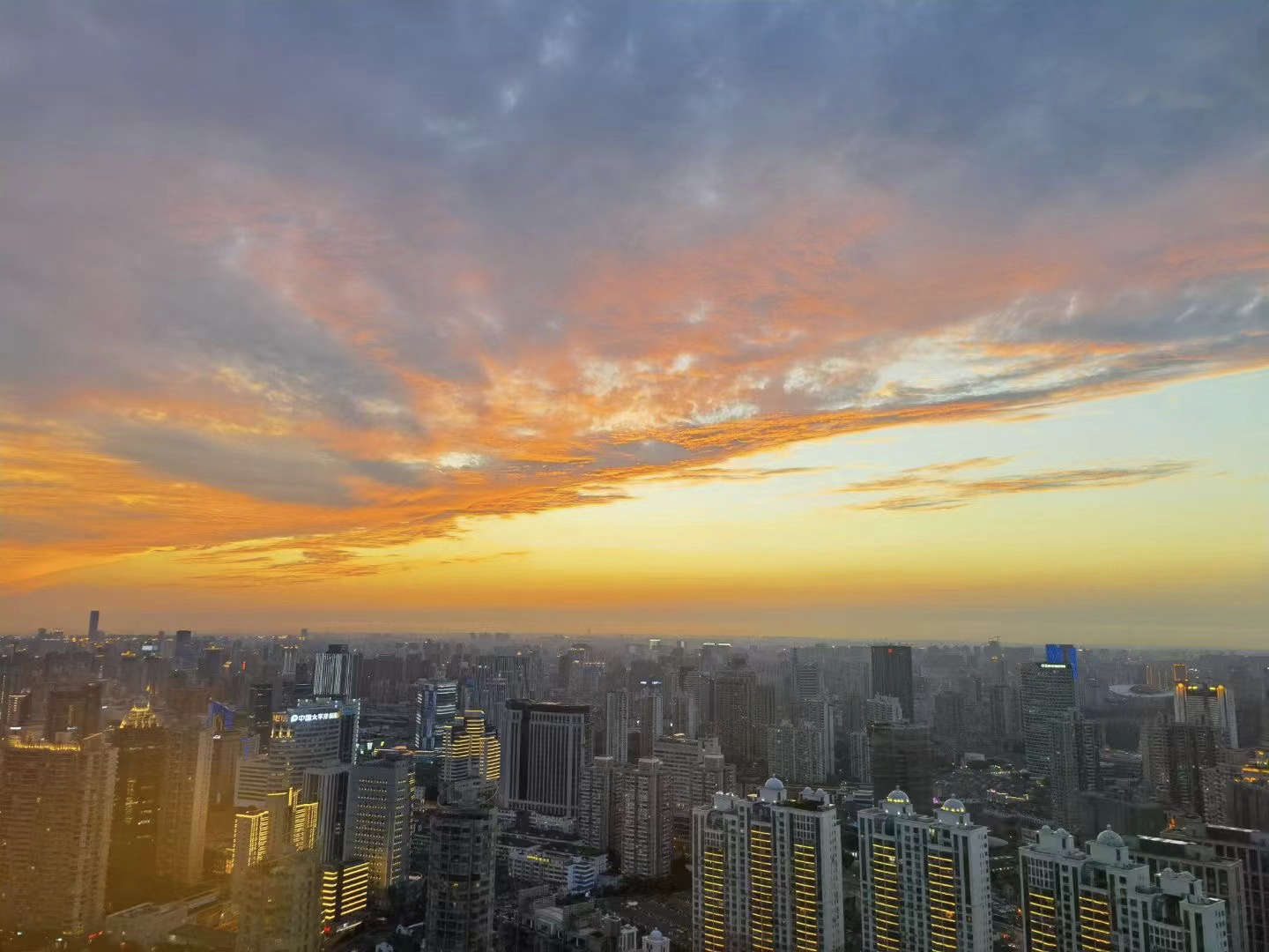 2022年06月24日 天堂的恶魔 投稿 拍摄于上海