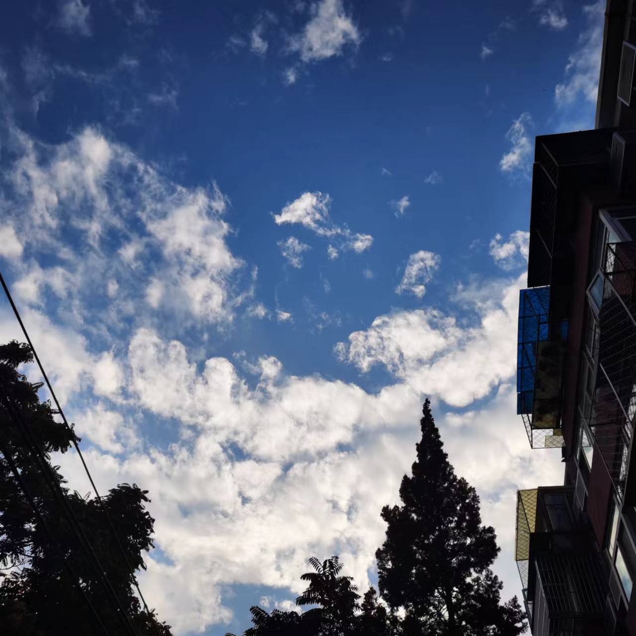 2022年08月07日 雨滢 投稿 拍摄于北京