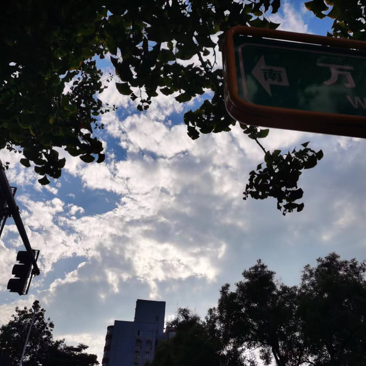 2022年08月07日 雨滢 投稿 拍摄于北京