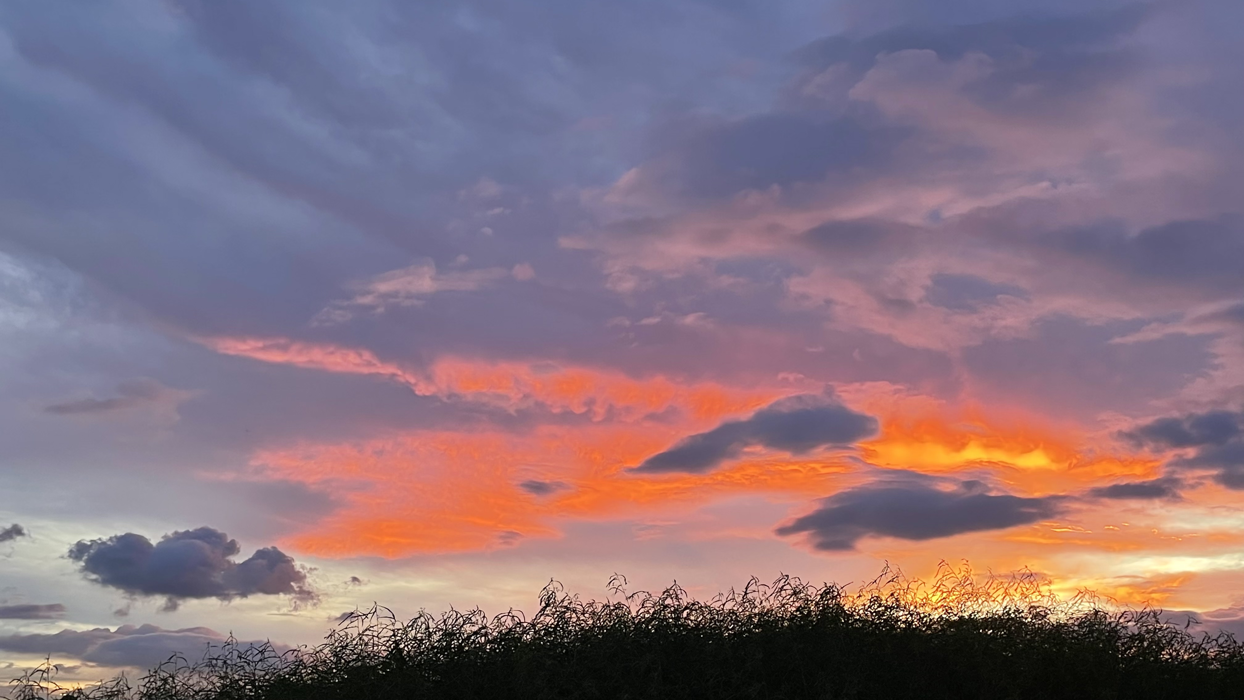 2022年08月19日 宇子 投稿 拍摄于深圳