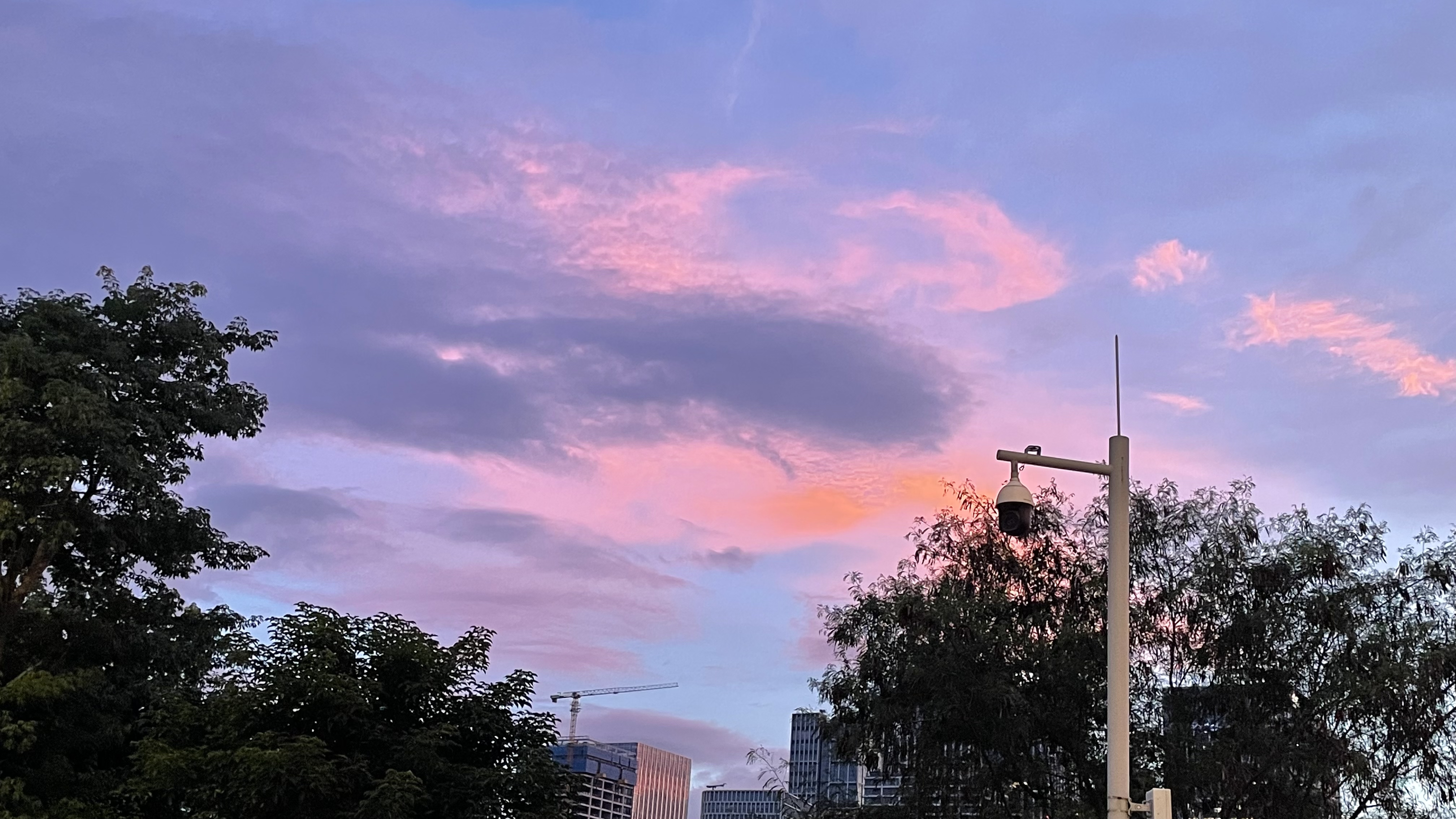 2022年08月19日 宇子 投稿 拍摄于深圳