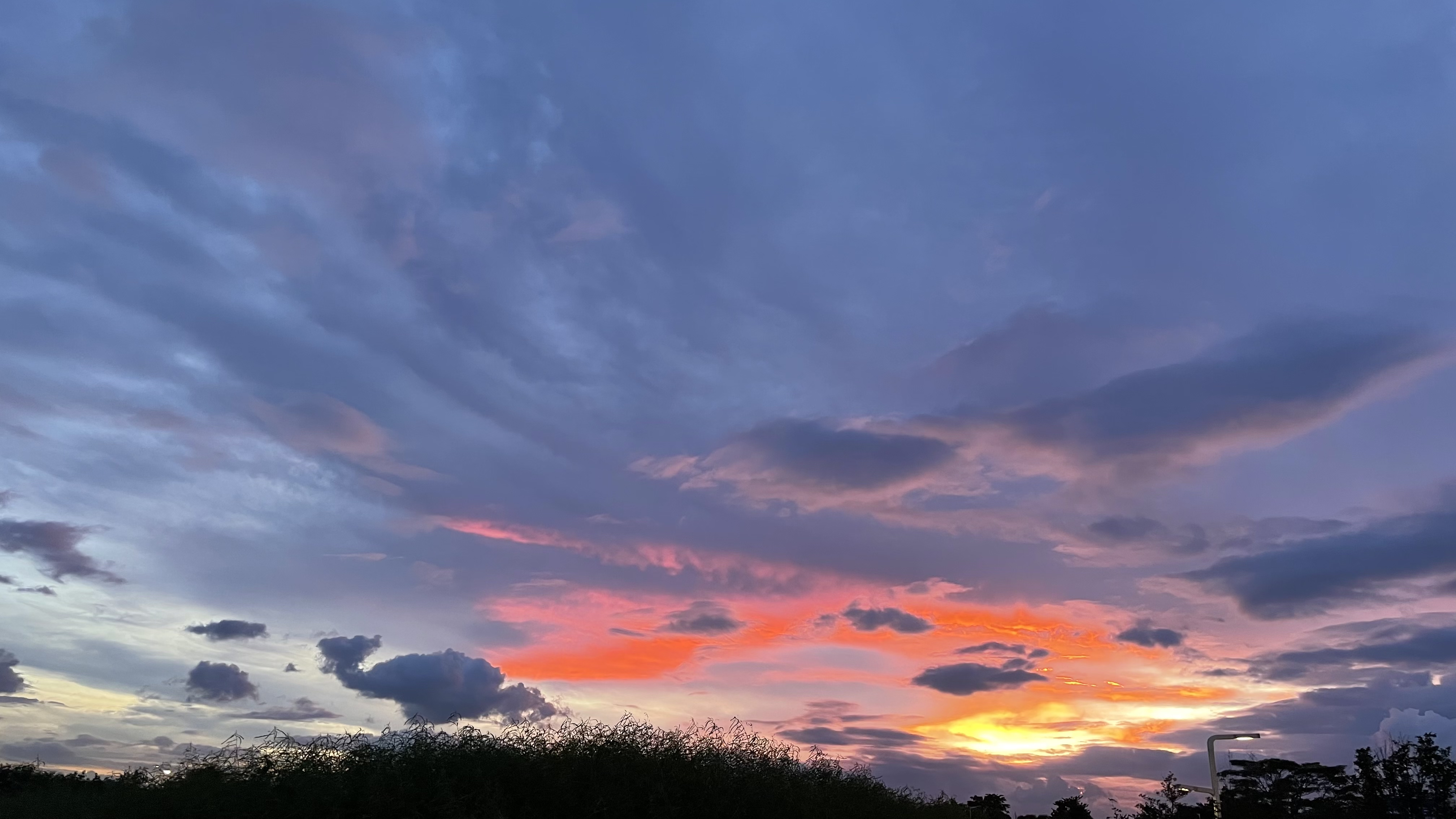 2022年08月19日 宇子 投稿 拍摄于深圳