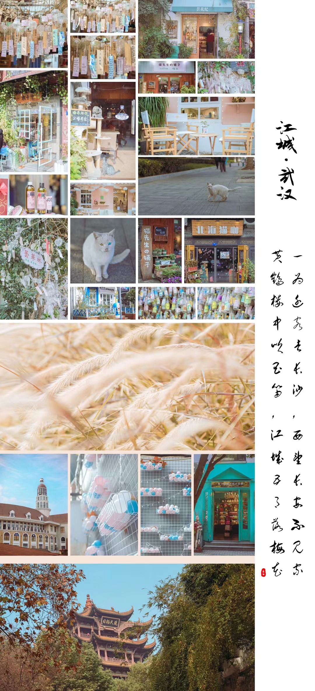 2022年08月20日 DeanHuo 投稿 拍摄于武汉