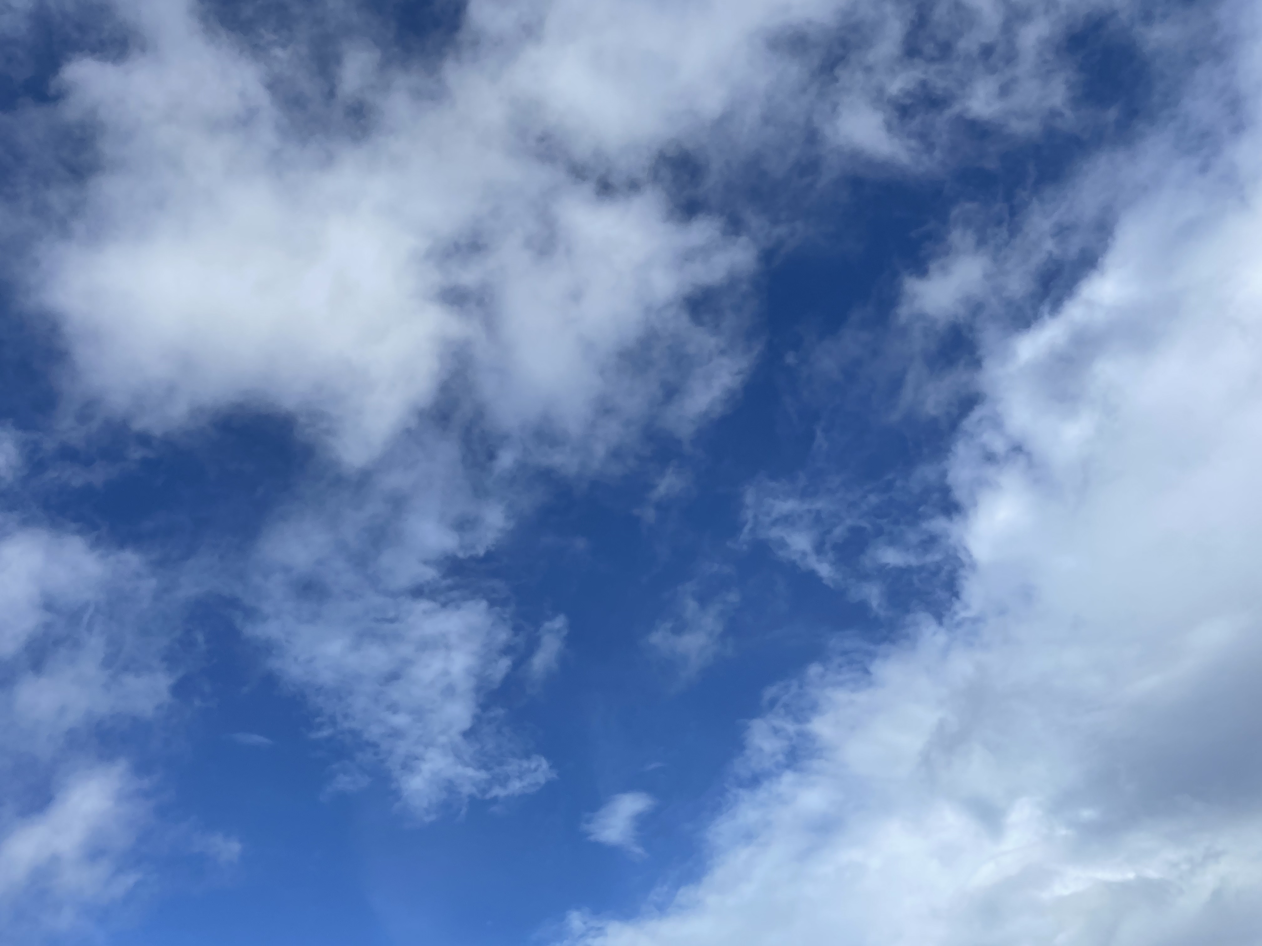 2022年08月25日 宇子 投稿 拍摄于深圳