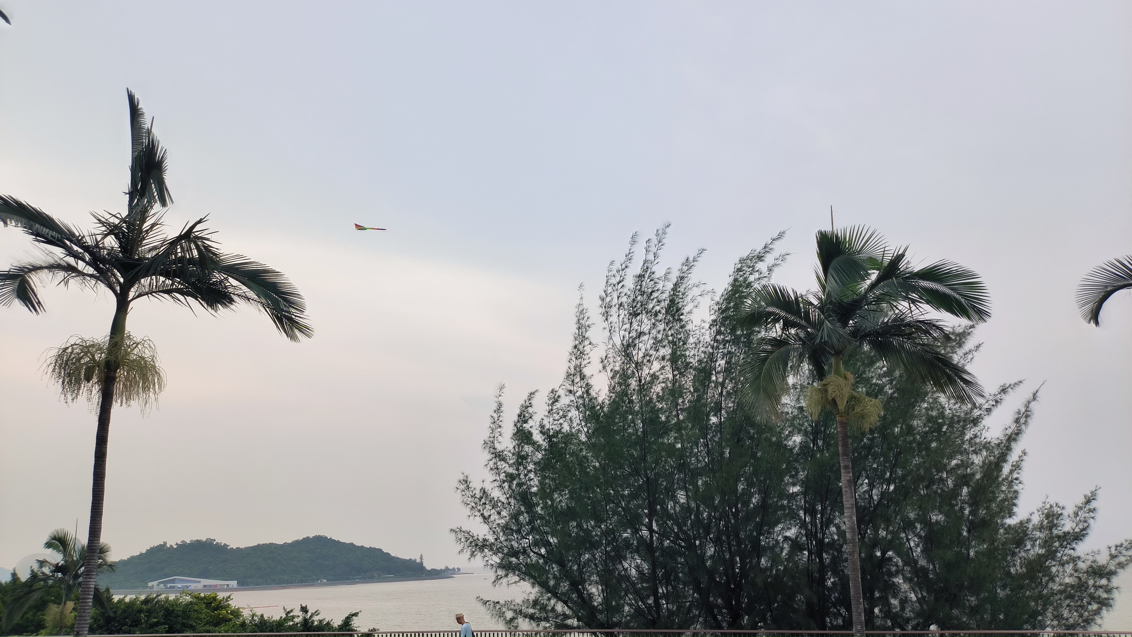 2022年09月01日 流羽 投稿 拍摄于珠海