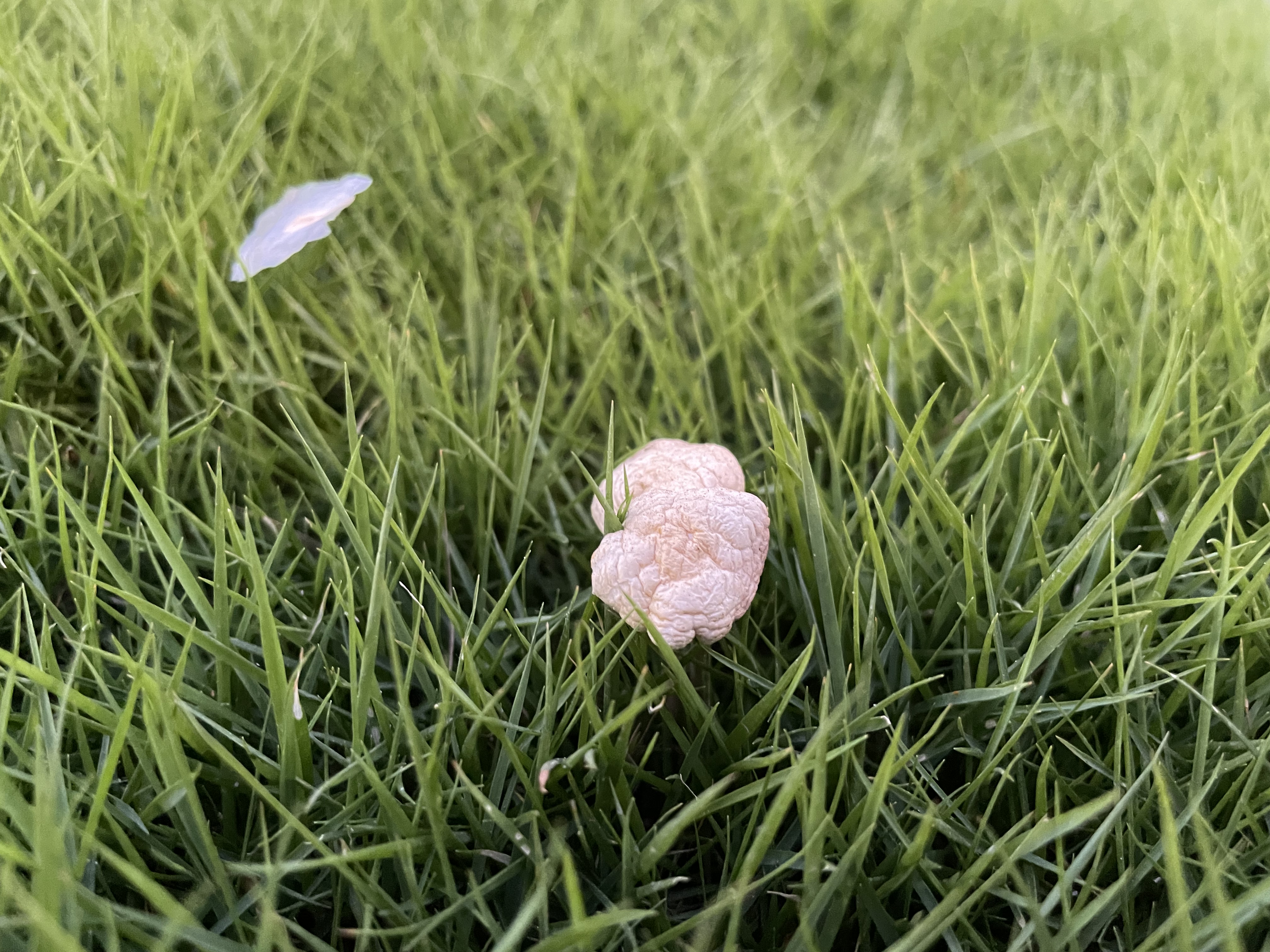 2022年09月02日 宇子 投稿 拍摄于深圳