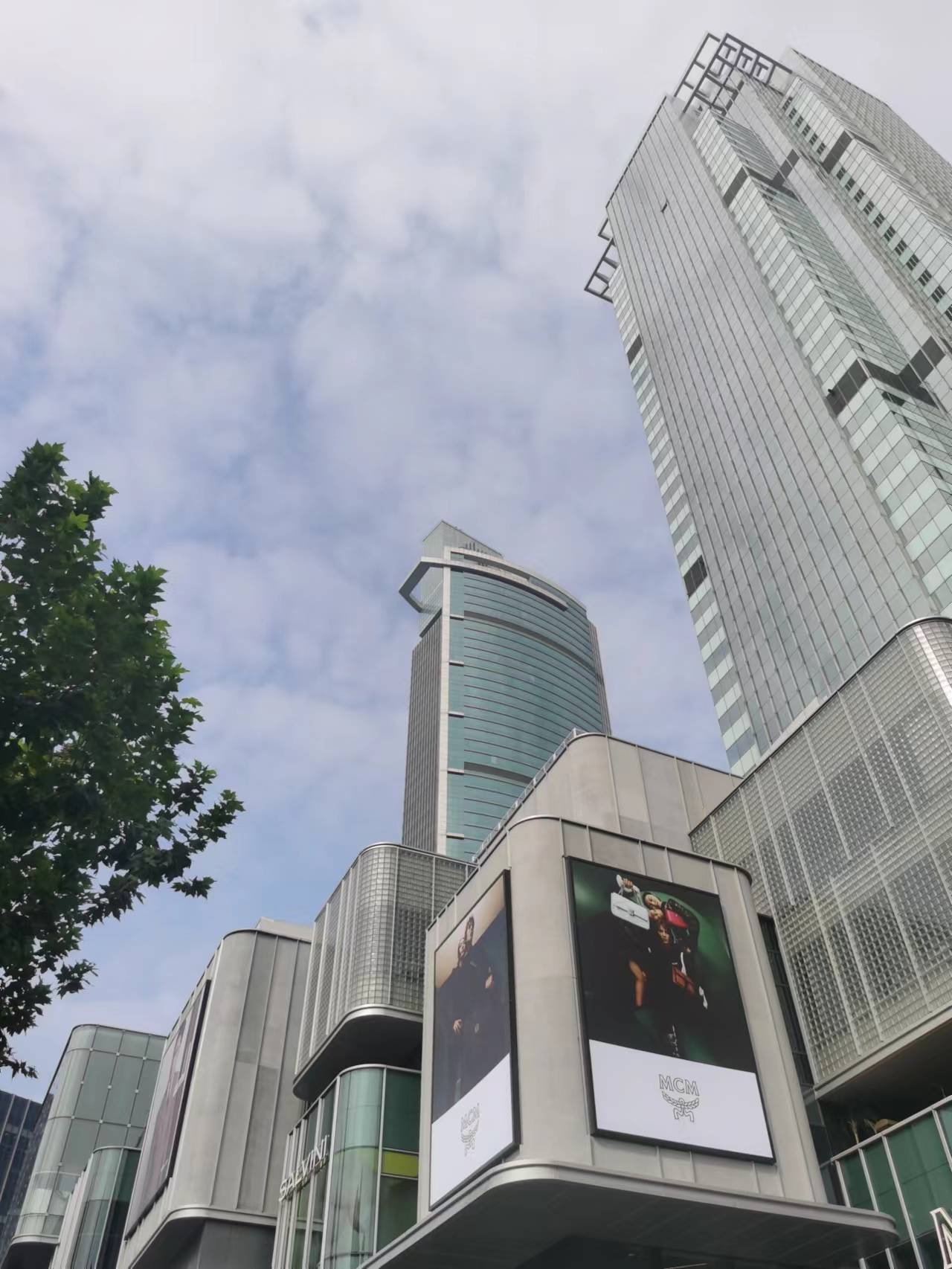 2022年09月16日 清荷煮茶 投稿 拍摄于上海