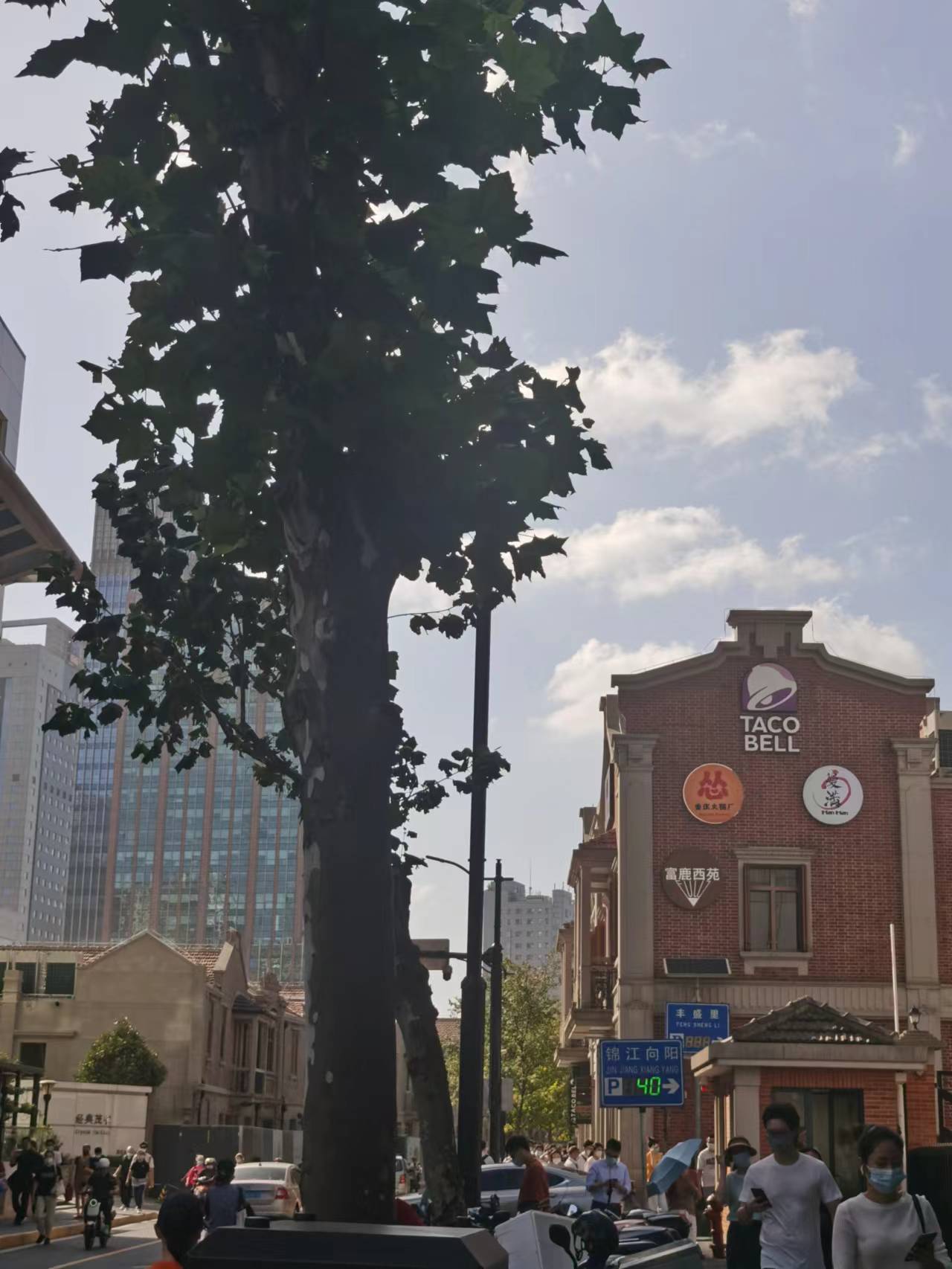 2022年09月19日 清荷煮茶 投稿 拍摄于上海