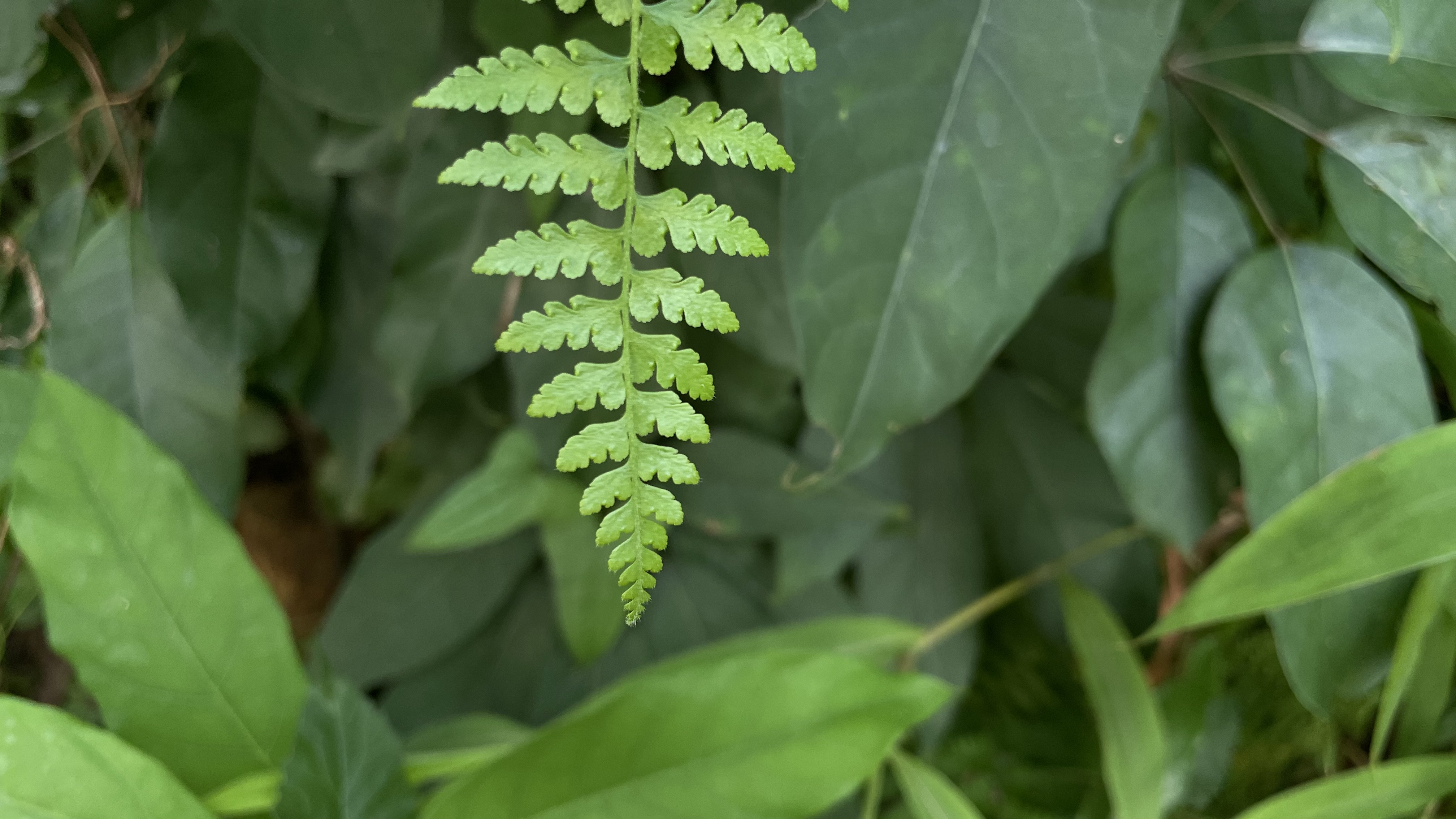 2022年09月24日 宇子 投稿 拍摄于深圳