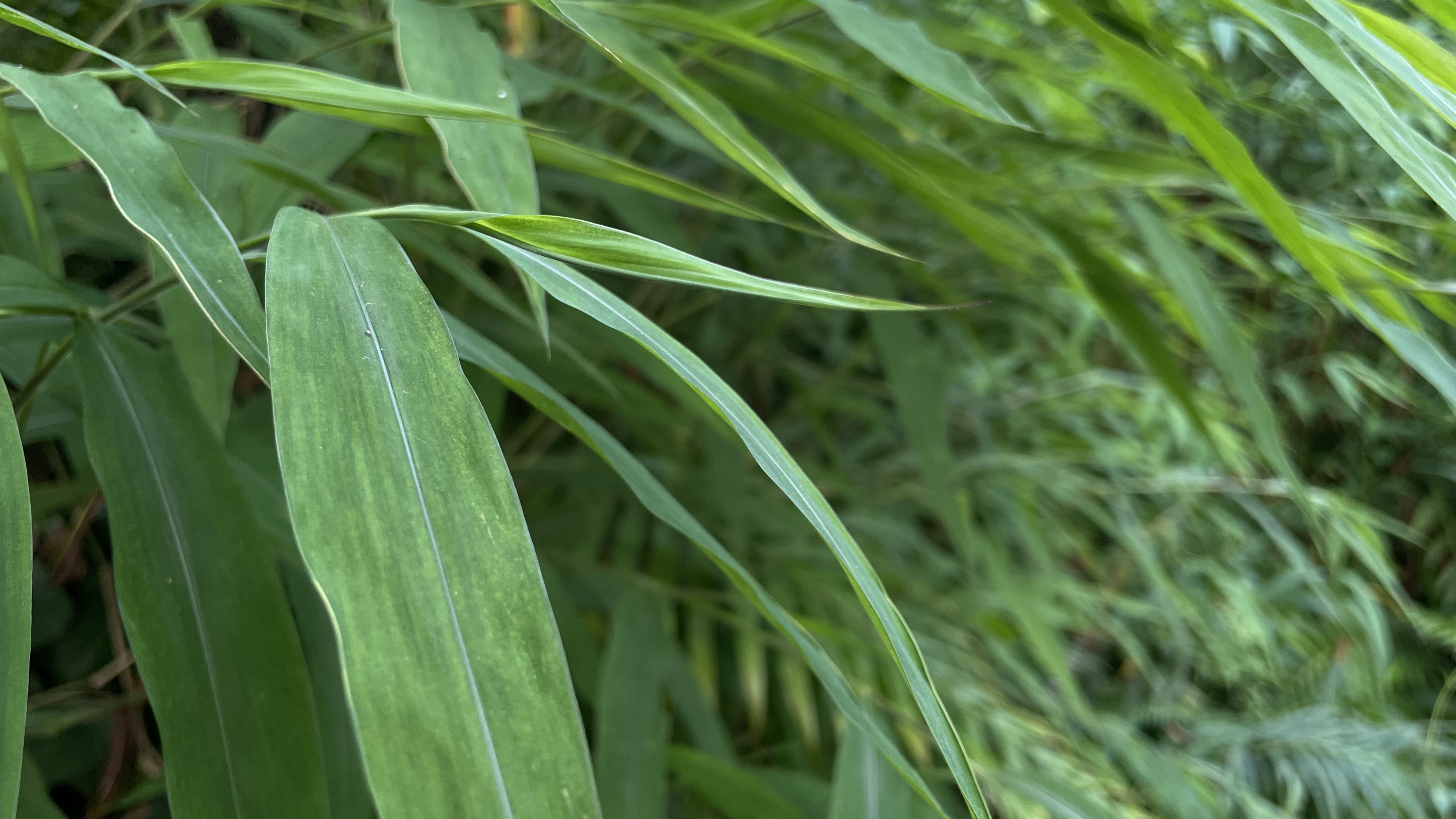 2022年09月24日 宇子 投稿 拍摄于深圳