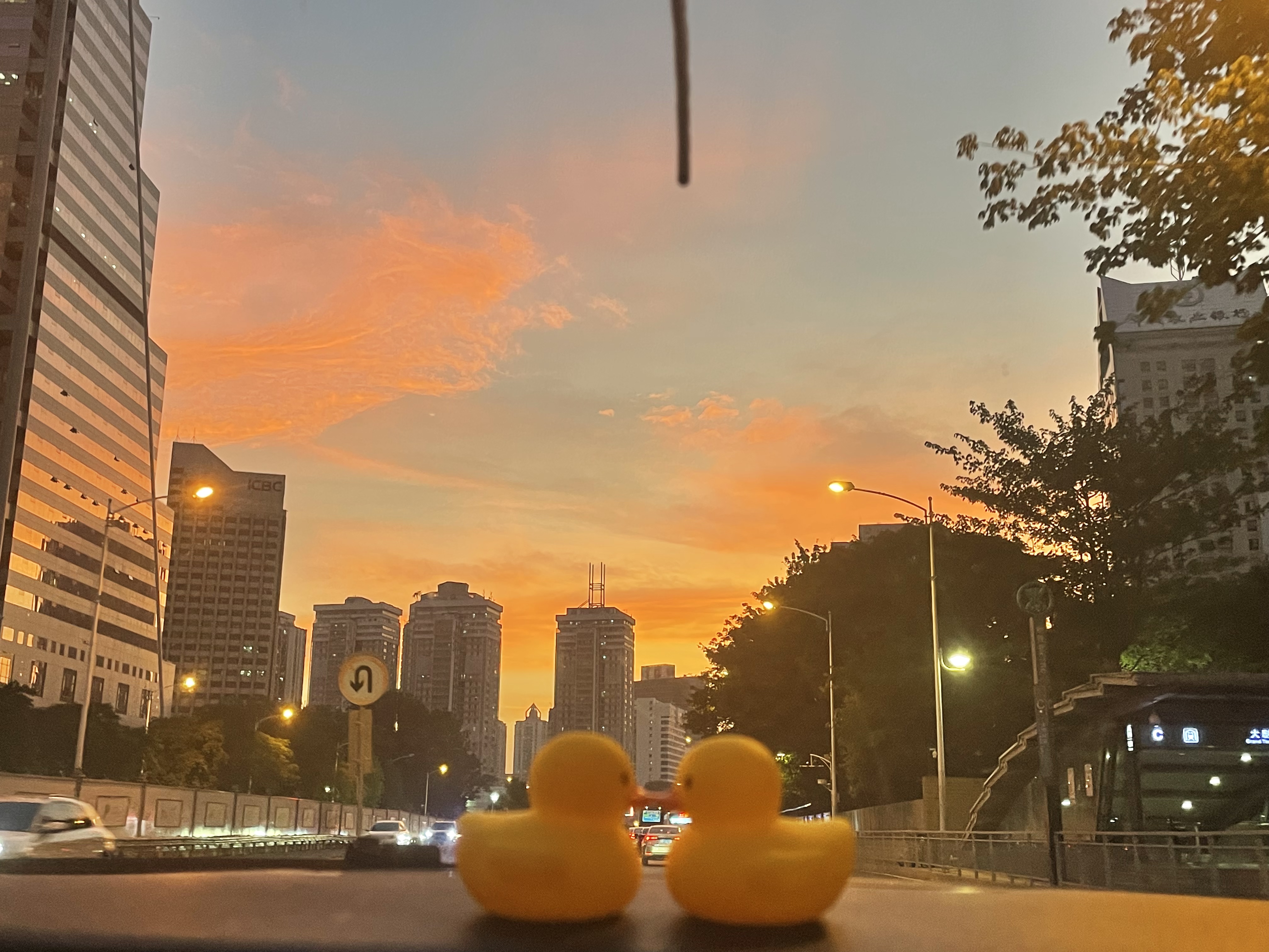 2022年10月30日 Sarah 投稿 拍摄于深圳
