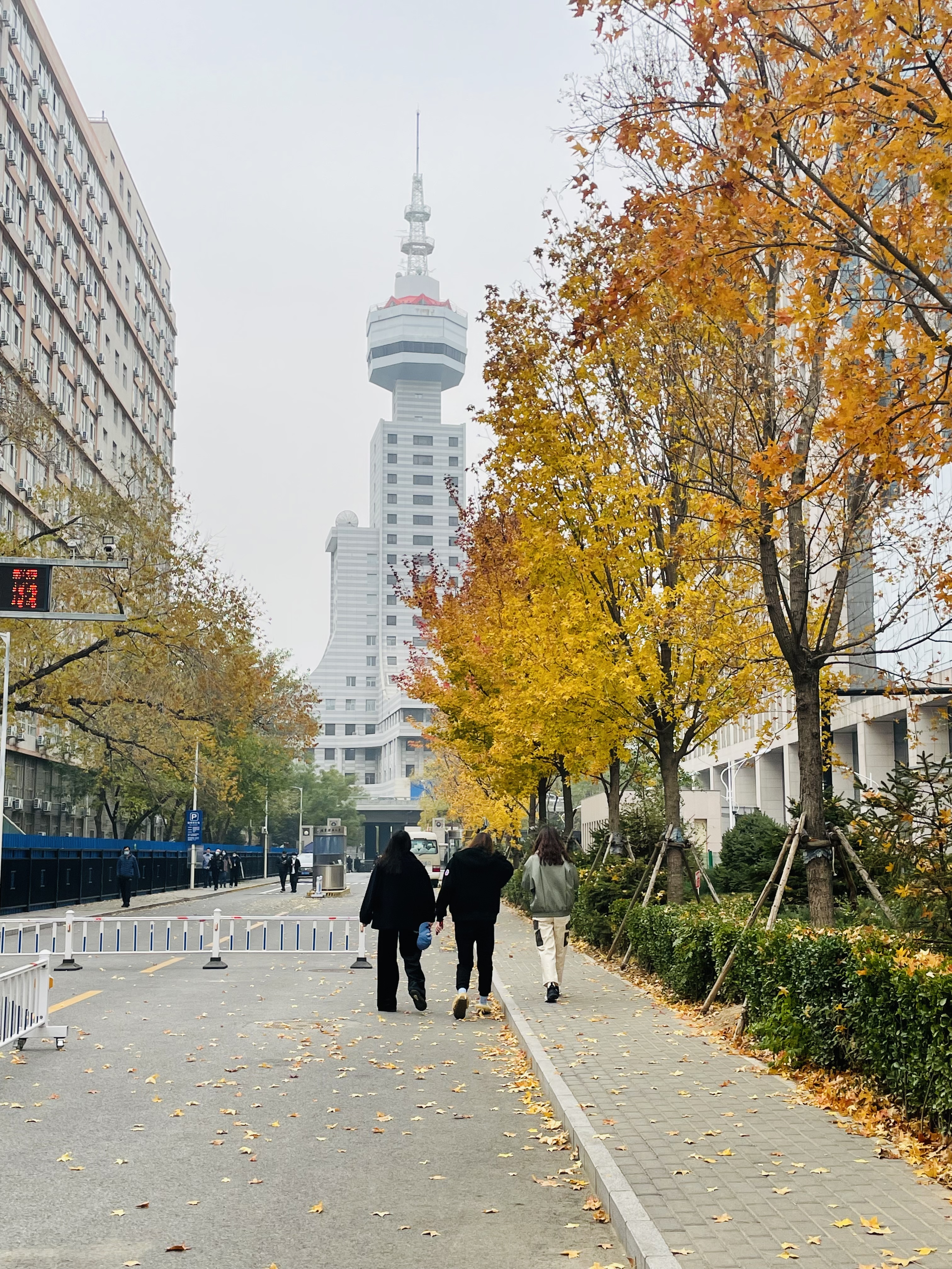 2022年11月18日 Jane 投稿 拍摄于北京