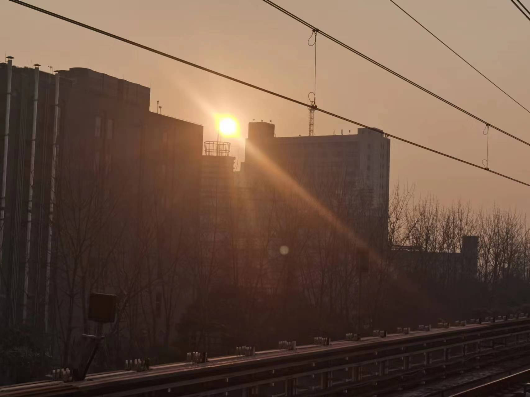2022年12月27日 清荷煮茶 投稿 拍摄于上海
