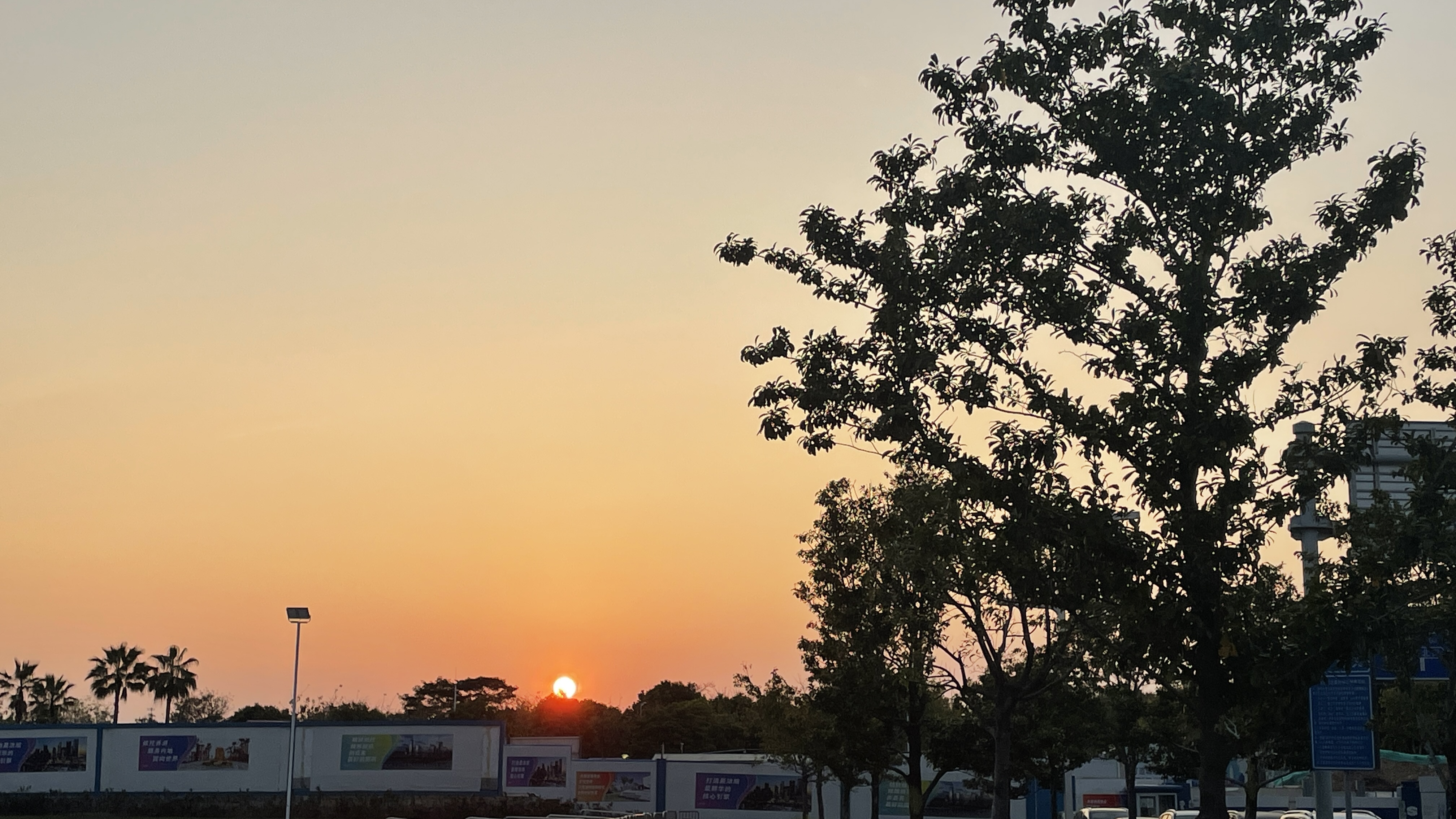 2023年03月10日 宇子 投稿 拍摄于深圳