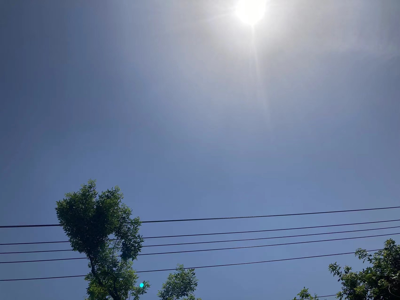 2023年05月23日 唤起一天明月 投稿 拍摄于济南