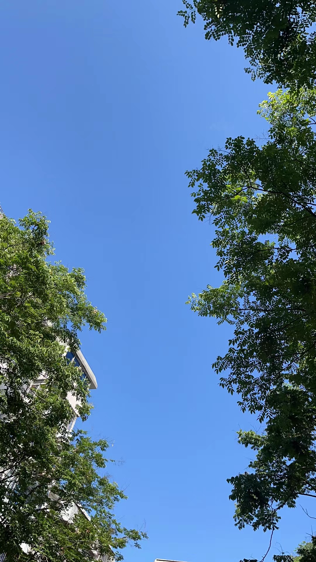 2023年05月23日 游侠 投稿 拍摄于宁波