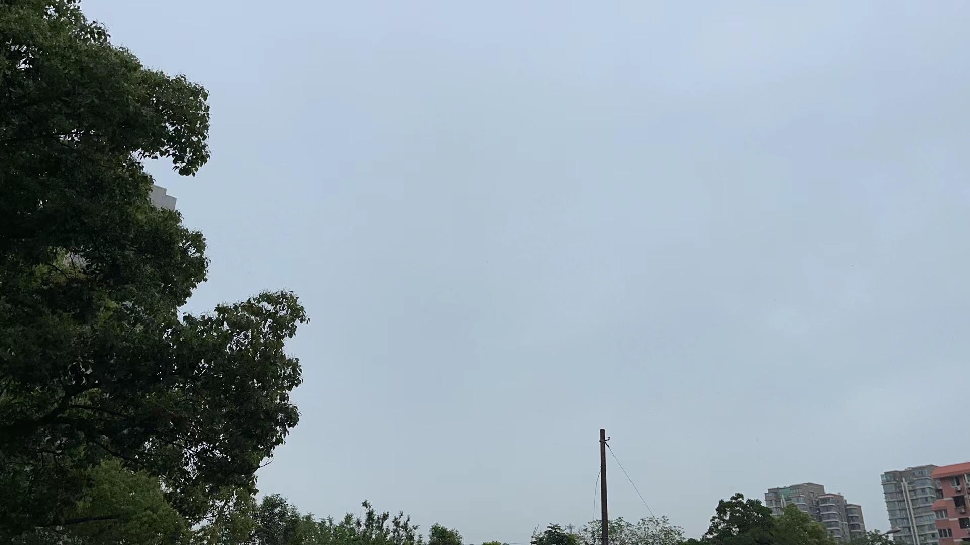 2023年05月24日 游侠 投稿 拍摄于宁波