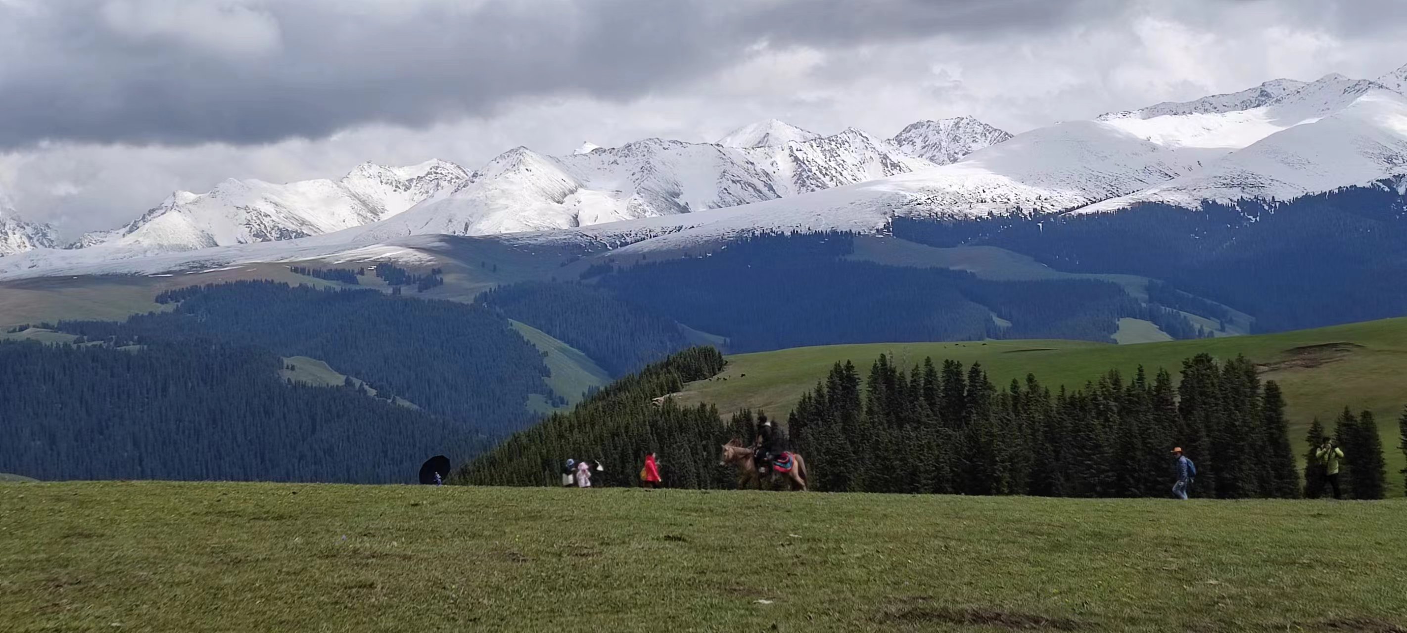 2023年05月25日 Kmzl 投稿 拍摄于丽江