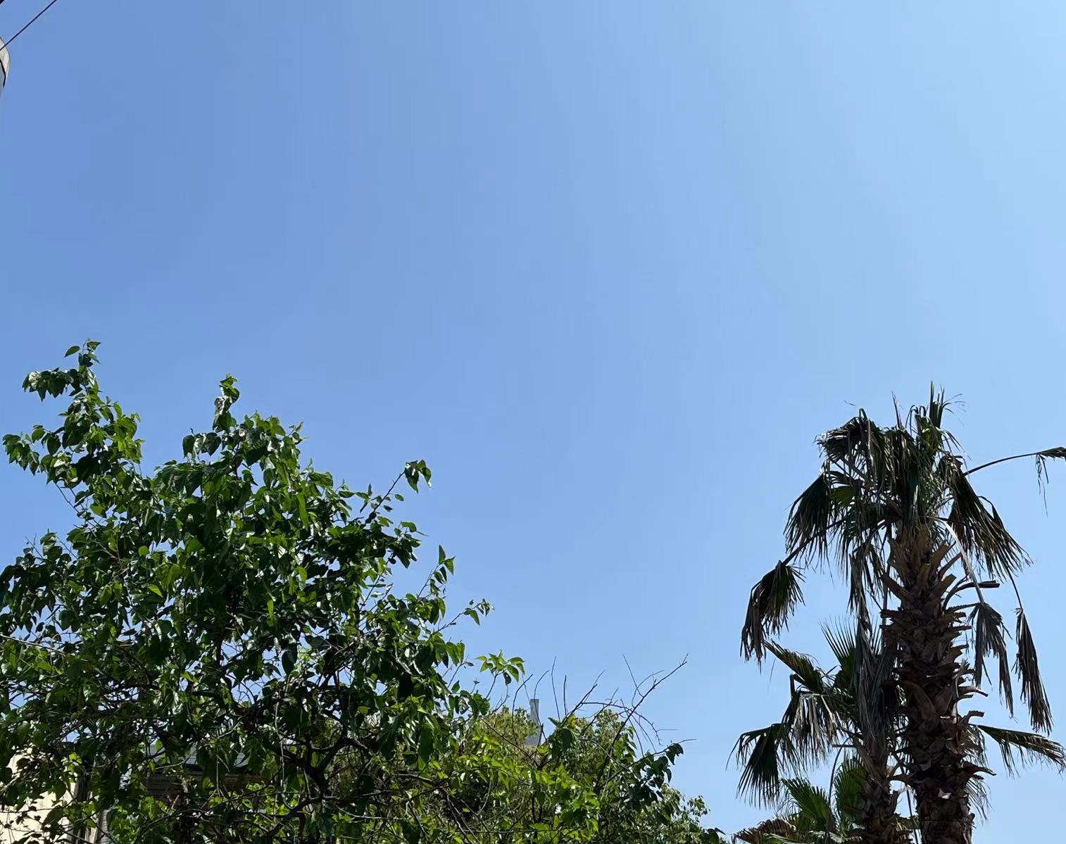 2023年05月26日 游侠 投稿 拍摄于宁波