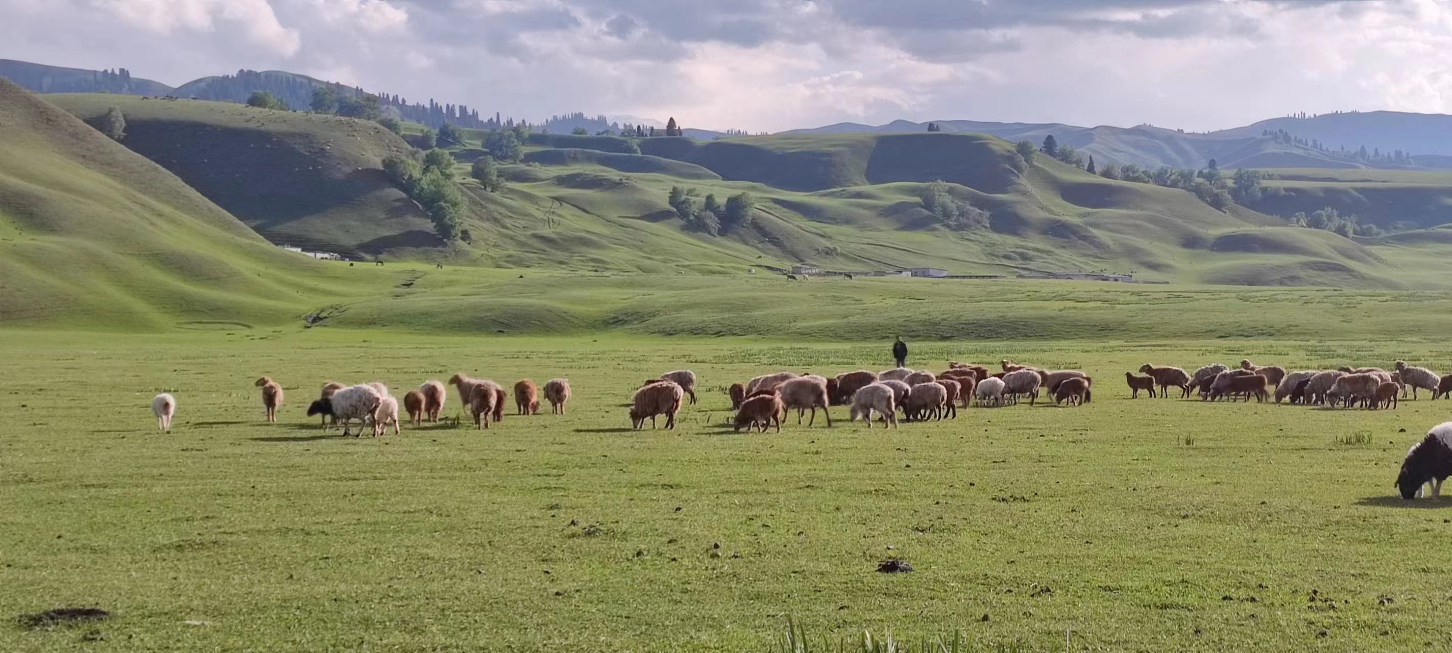 2023年05月26日 Kmzl 投稿 拍摄于丽江