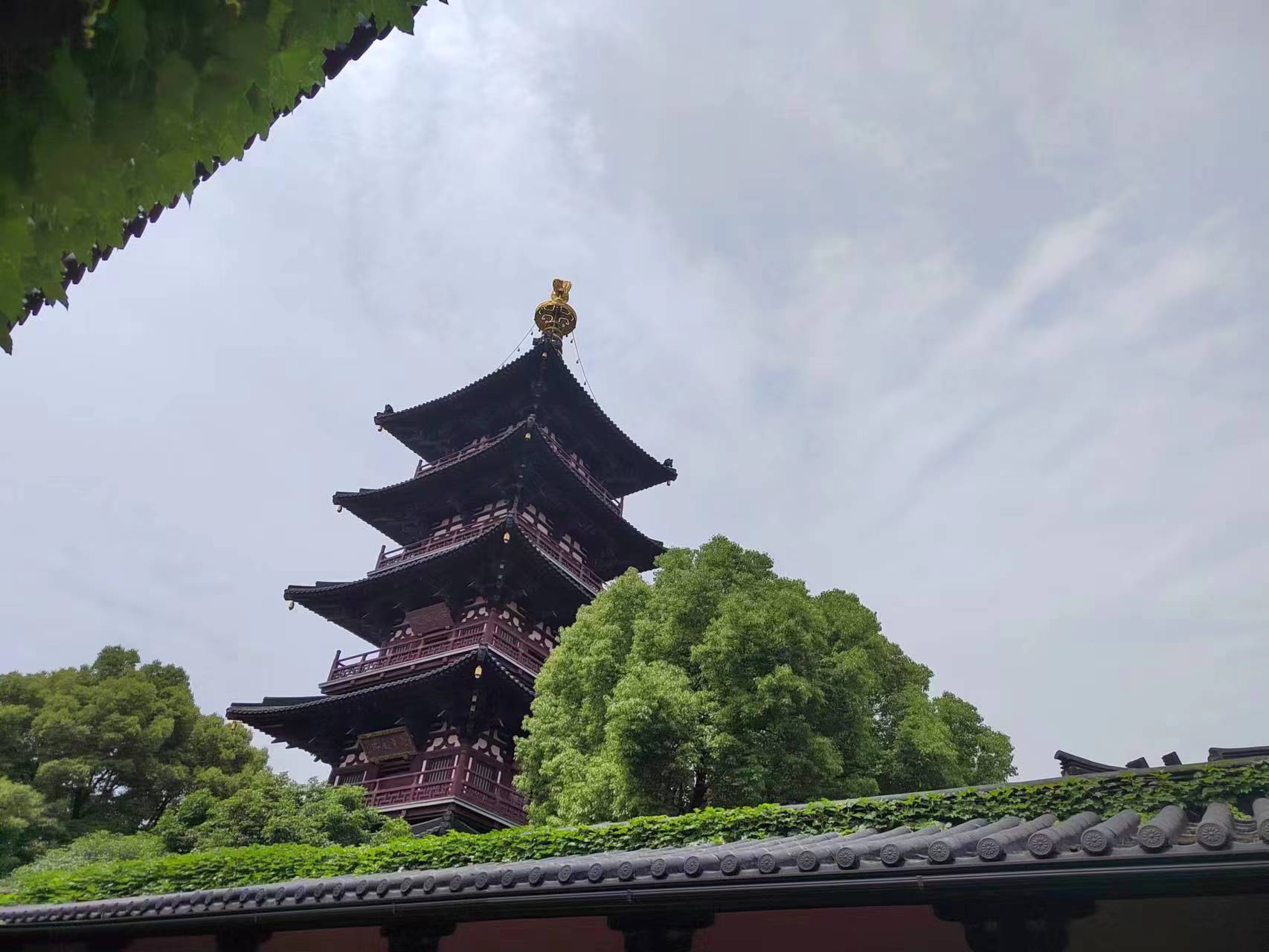 2023年05月27日 颜乐 投稿 拍摄于深圳