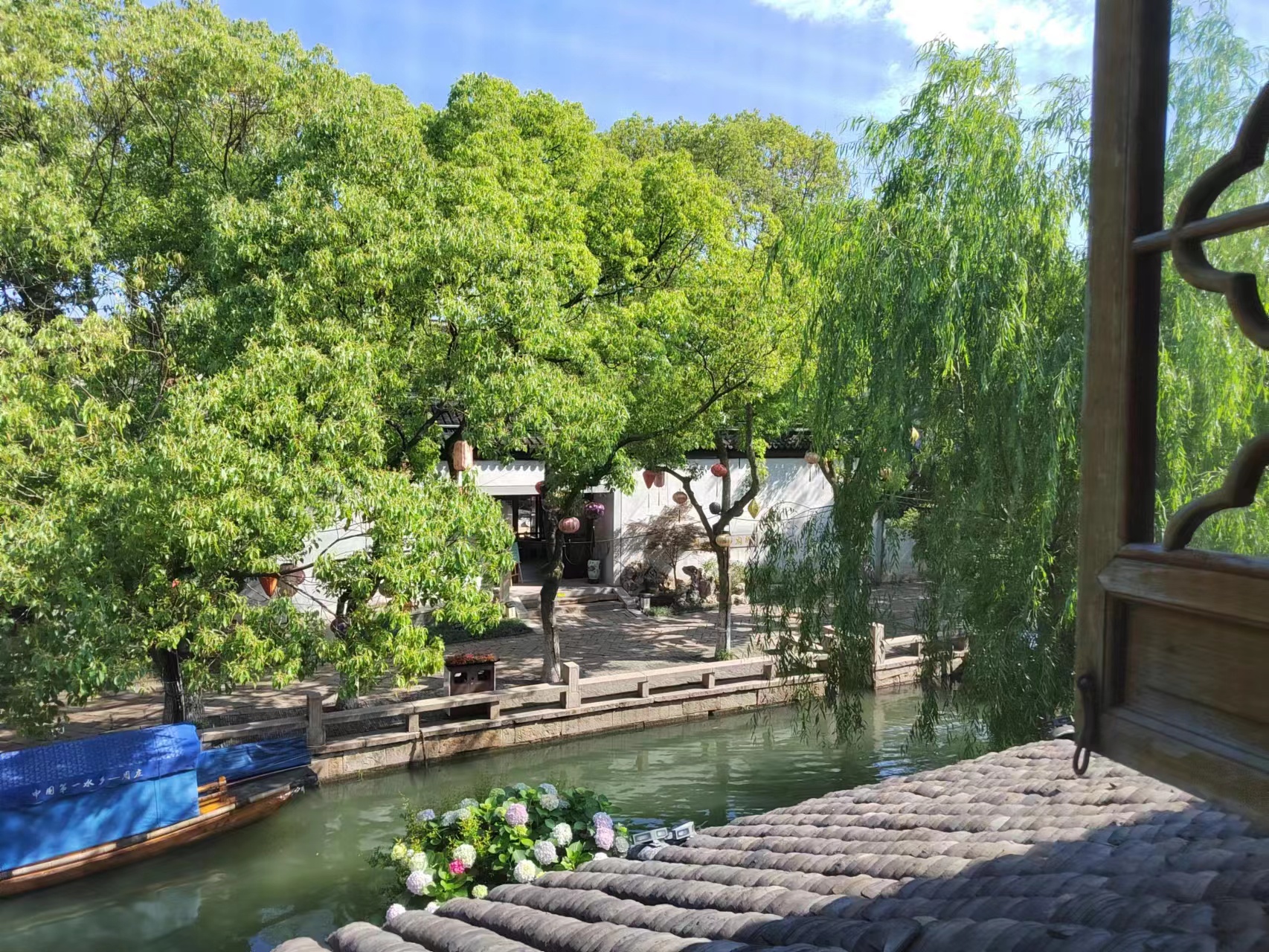 2023年05月28日 颜乐 投稿 拍摄于深圳