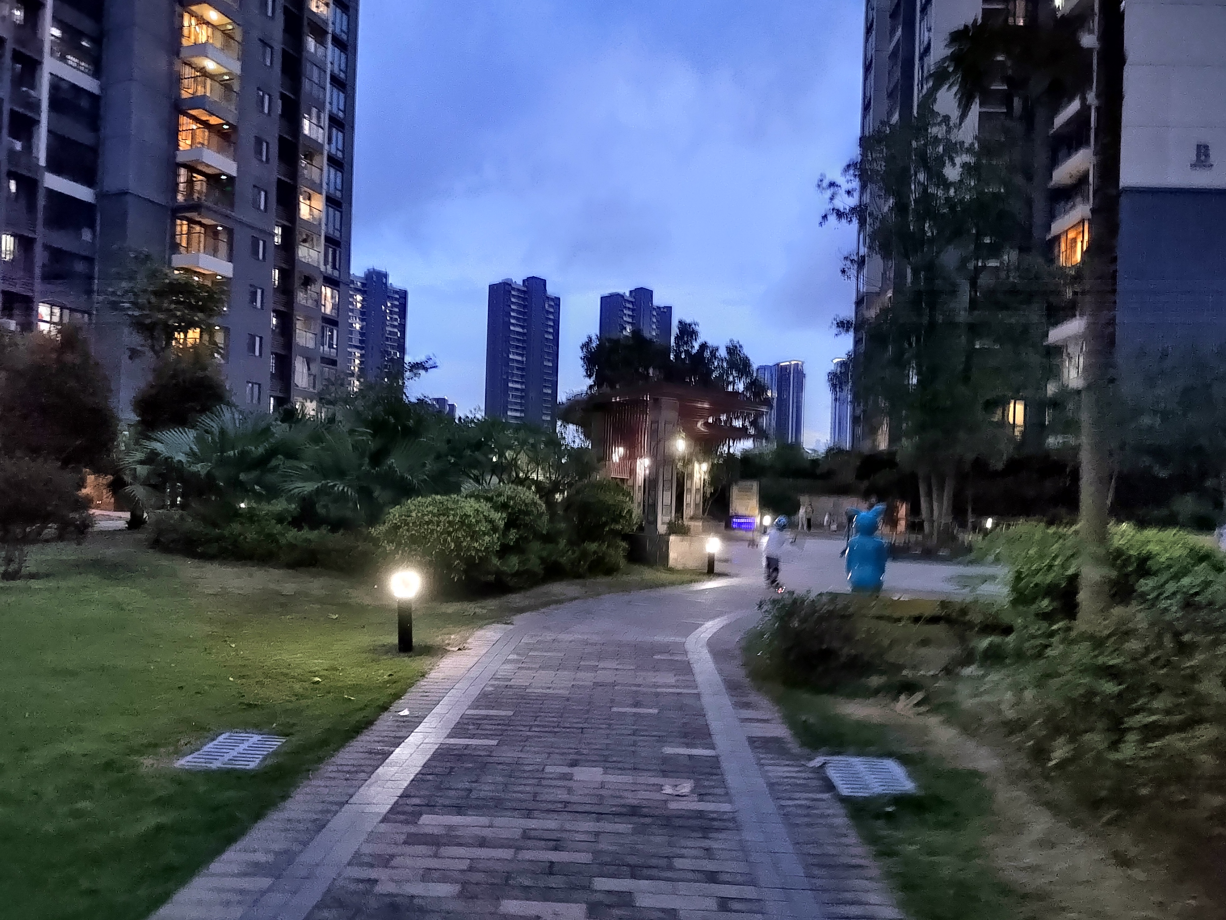 2023年06月07日 颜乐 投稿 拍摄于深圳