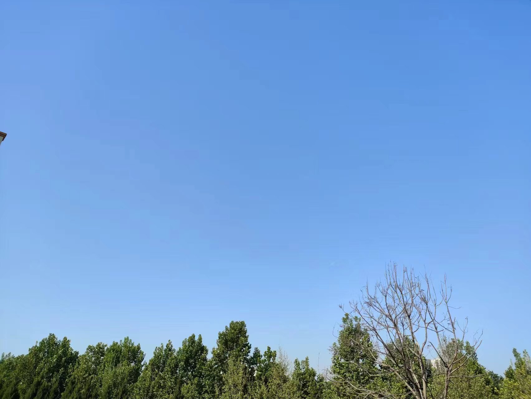 2023年06月09日 贰贰 投稿 拍摄于潍坊