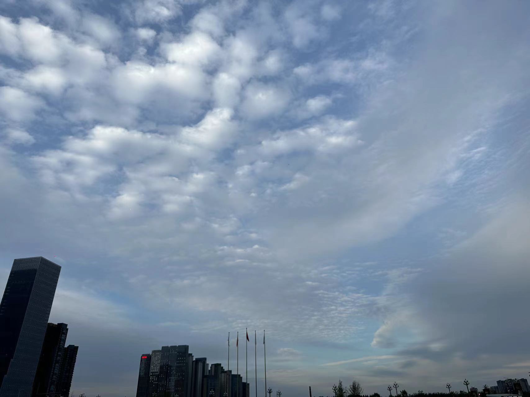 2023年06月11日 辛仔 投稿 拍摄于成都