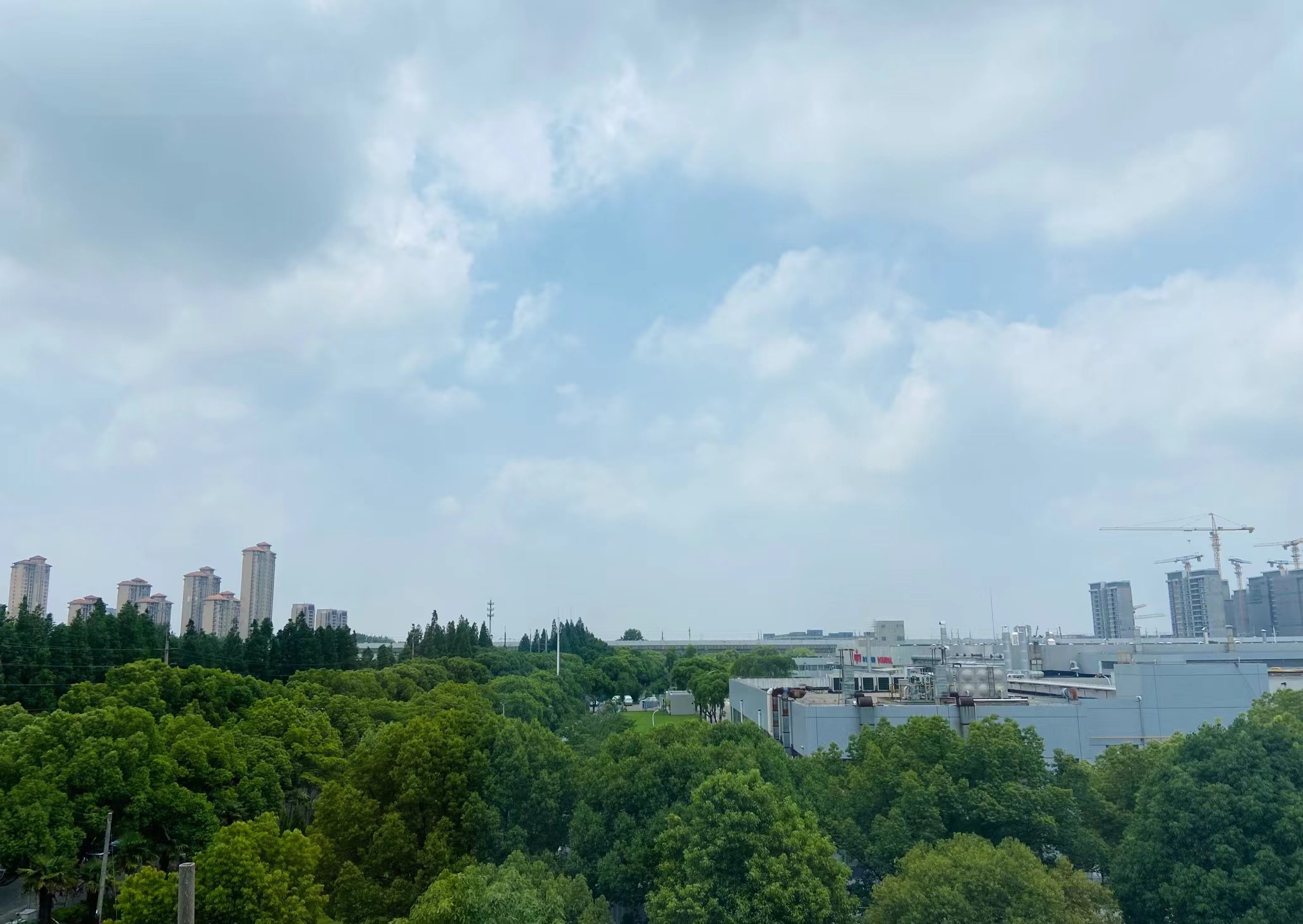 2023年06月12日 Vivek.W 投稿 拍摄于上海