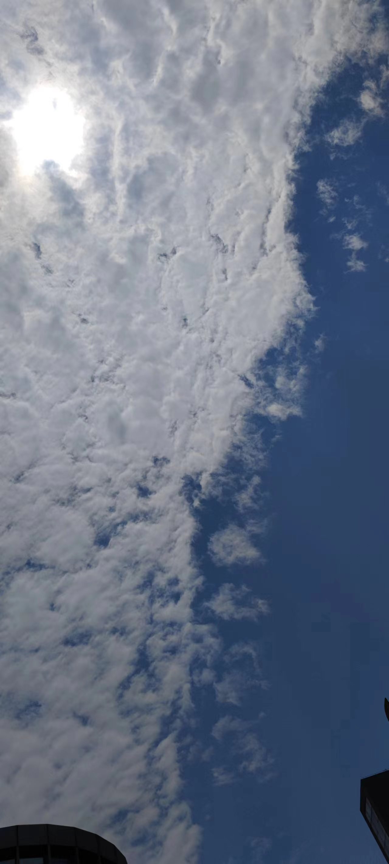 2023年06月13日 Kmzl 投稿 拍摄于福州