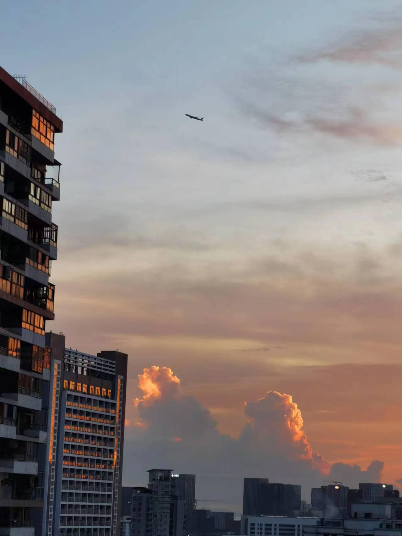 2023年6月28日 @宇子 投稿 拍摄于深圳