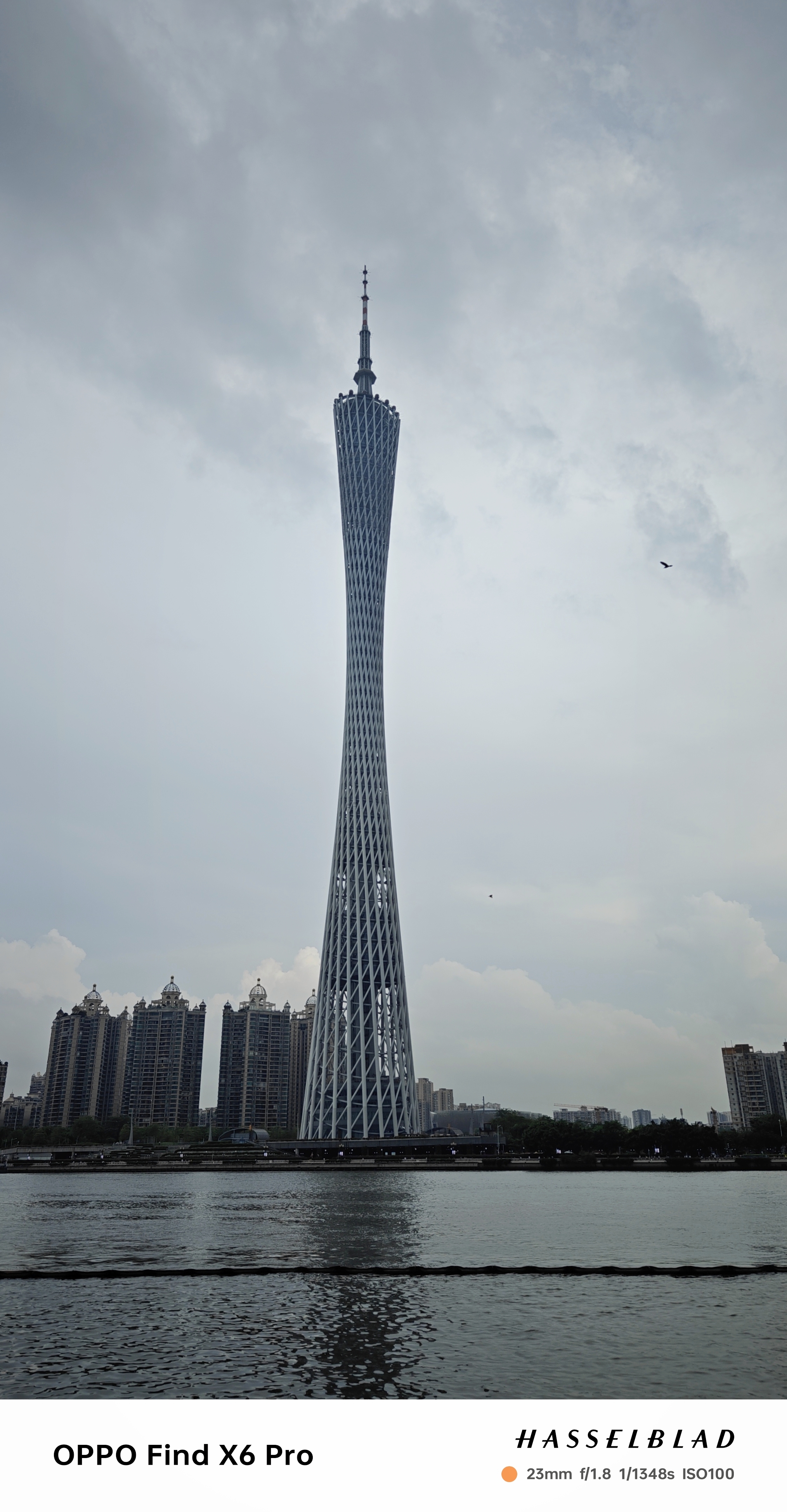 2023年06月24日 @FEI. 投稿 拍摄于深圳