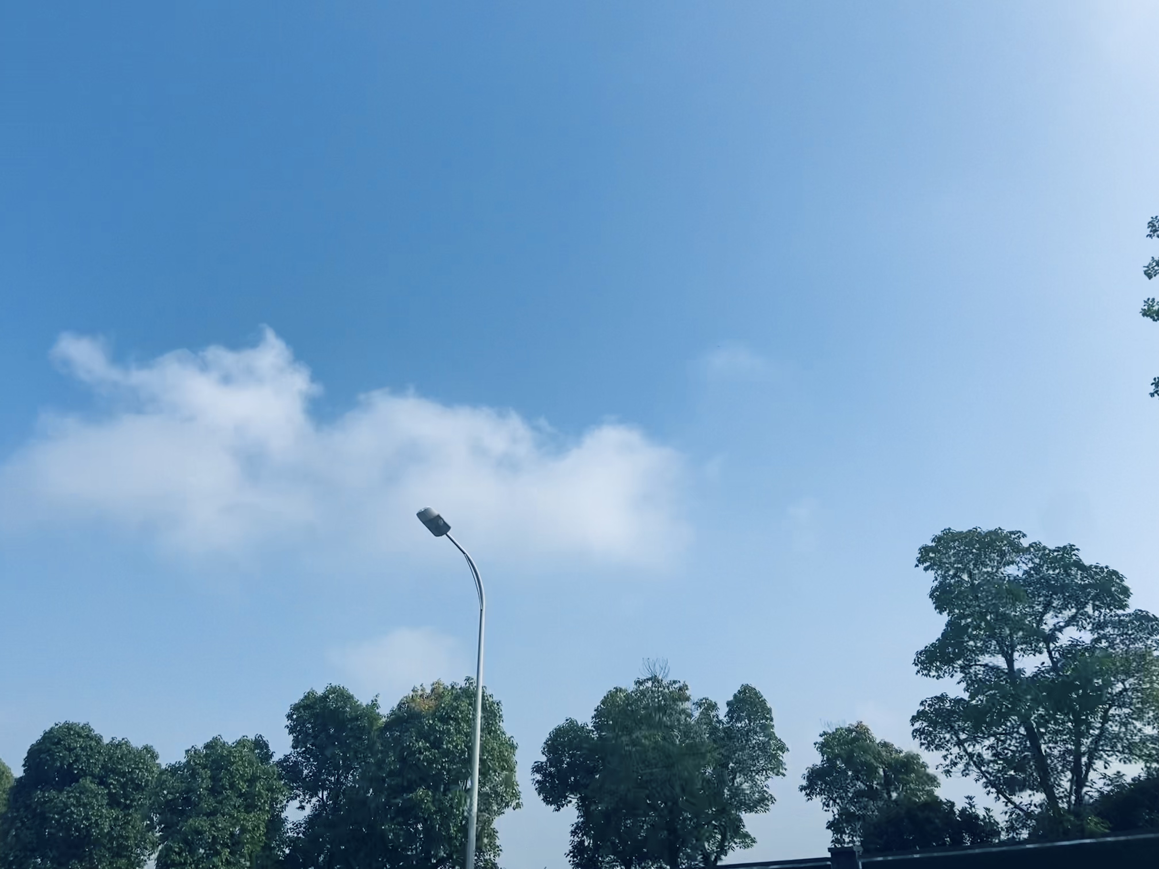 2023年06月26日 @Vivek.W 投稿 拍摄于武汉