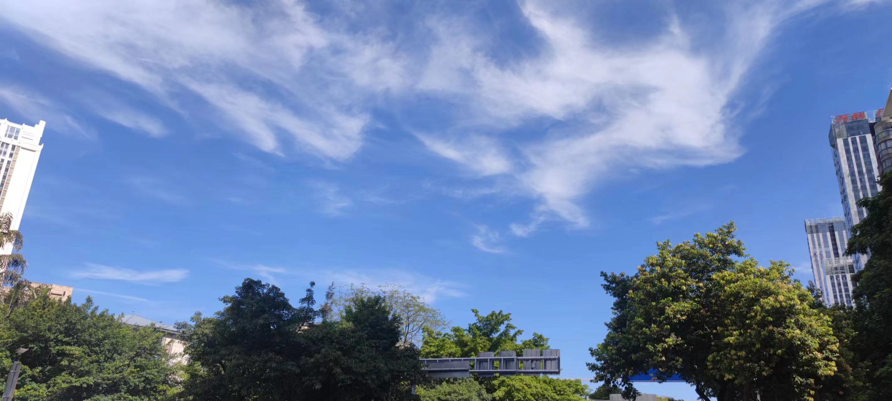 2023年06月26日 @Kmzl 投稿 拍摄于福州