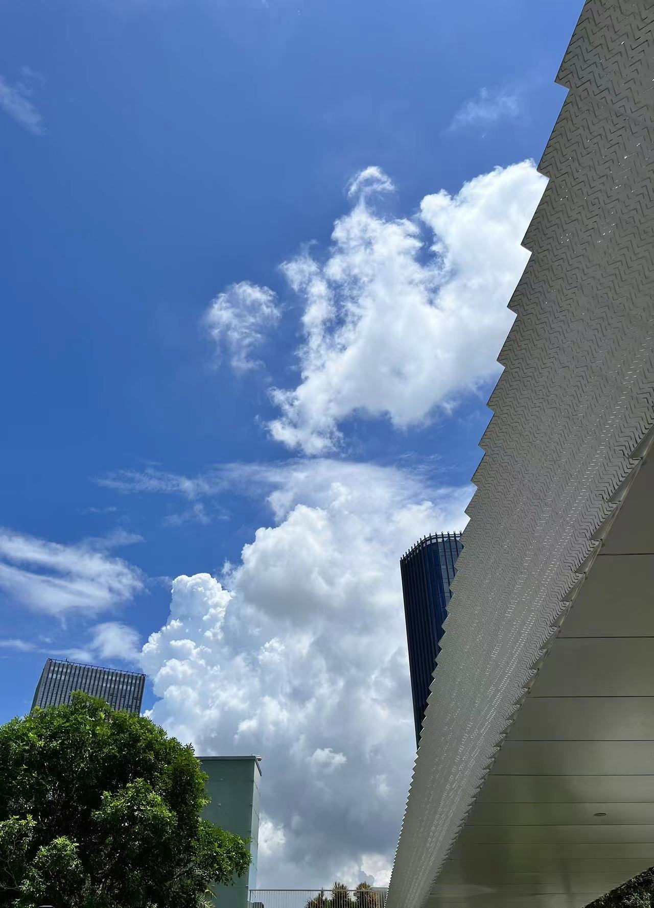 2023年06月26日 @夕远 投稿 拍摄于深圳