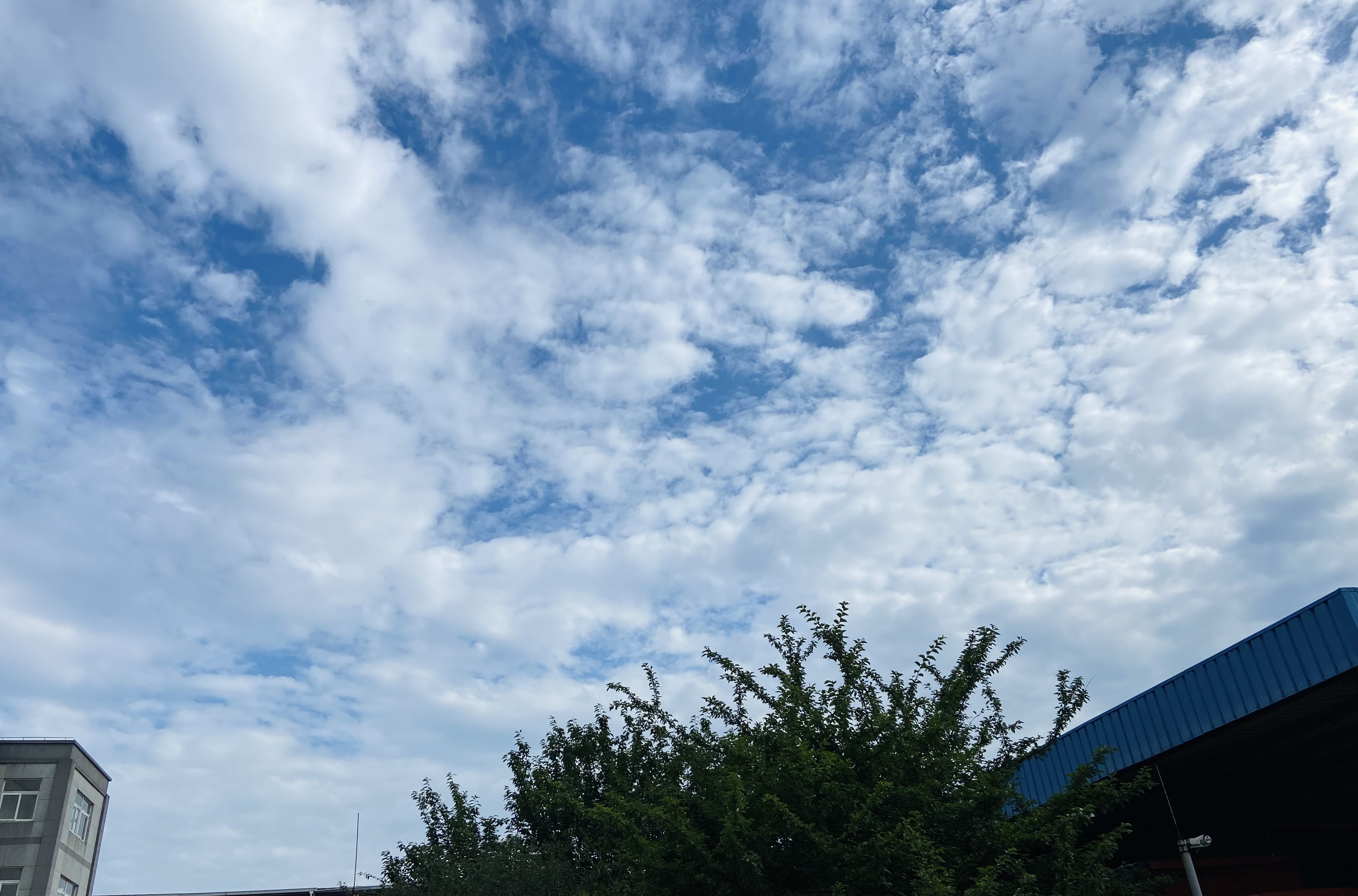 2023年06月27日 @Vivek.W 投稿 拍摄于上海