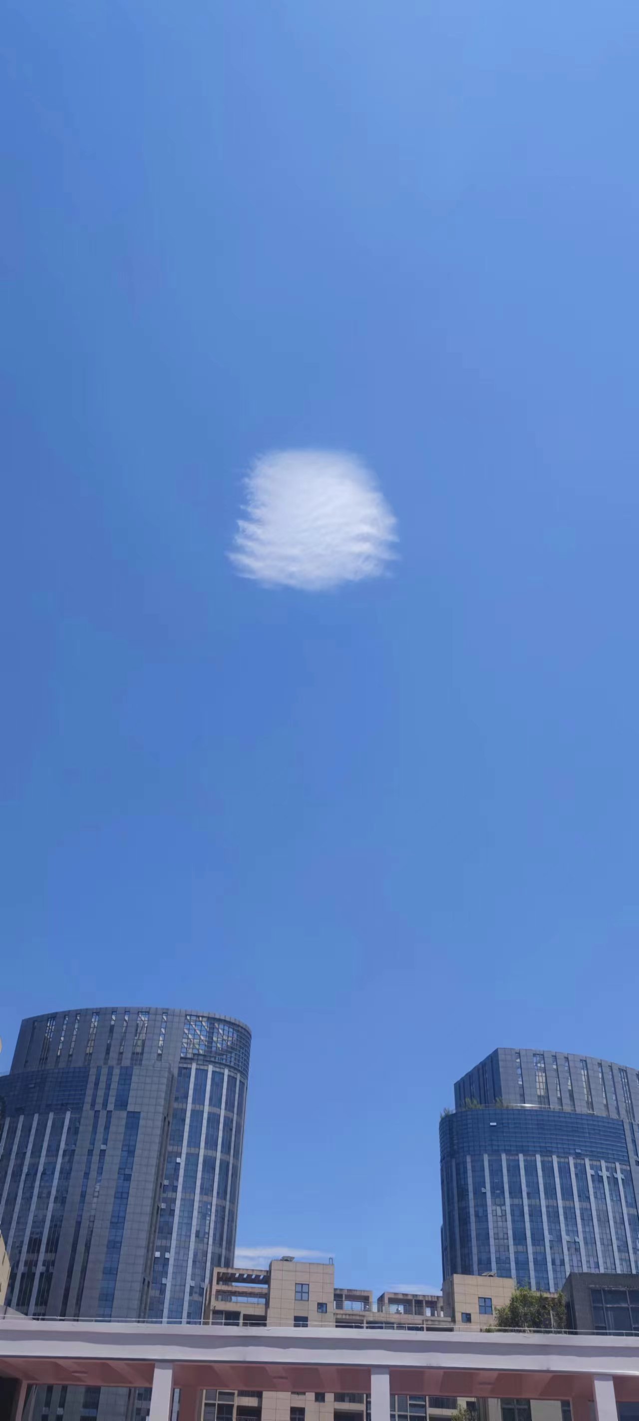 2023年06月27日 @Kmzl 投稿 拍摄于福州