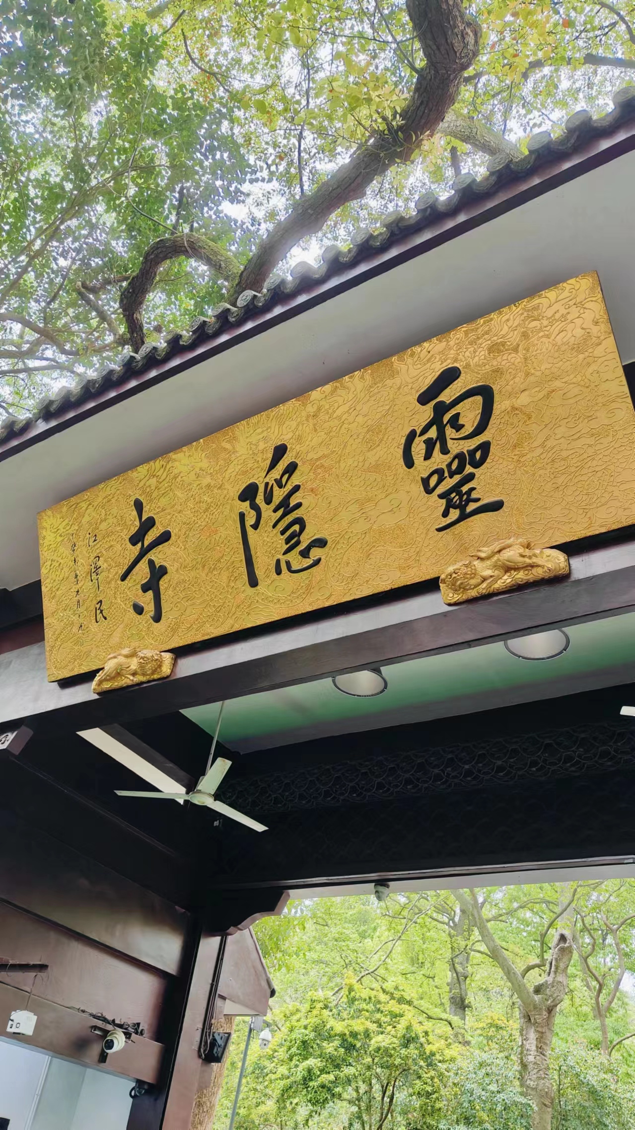 jNzyEk